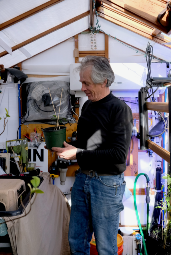 An older man with gray hair wearing a black long-sleeve shirt and blue jeans, holding a green plant pot inside a shed or greenhouse with gardening tools, shelves, and plants surrounding him.