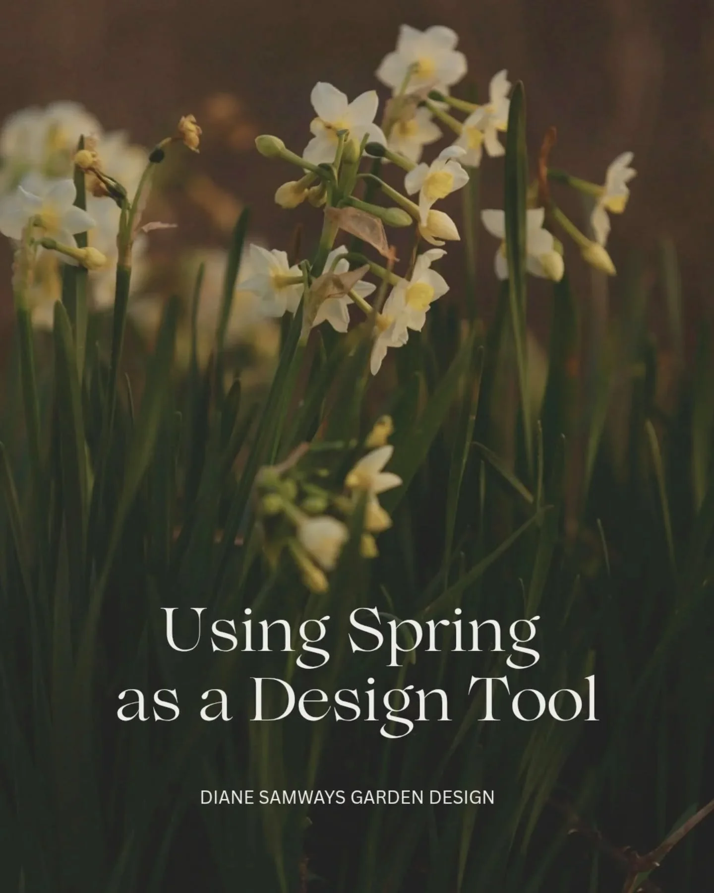 The moment we&rsquo;ve all been waiting for. ☀️

When the light shifts, the doors stay open longer, and we finally step back outside.

Solid spring design advice to bring it all together, after what feels like a lifetime of hibernation, this is the t