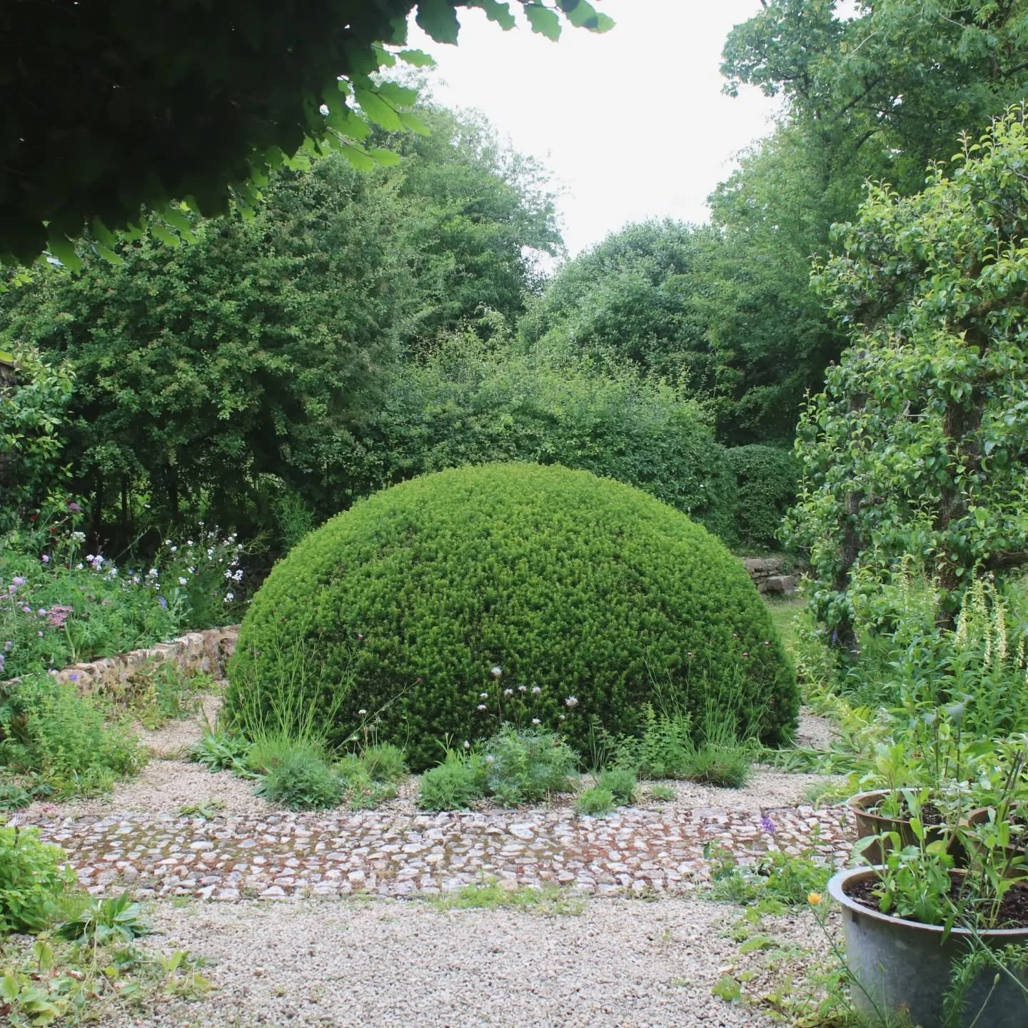 I'm currently writing a new blog called The Soul of South Wood Farm.

The more I reflect on my recent visit, the more four words keep emerging: Anticipation. Discovery. Playfulness. Restraint.

It's a garden that unfolds rather than reveals. One that