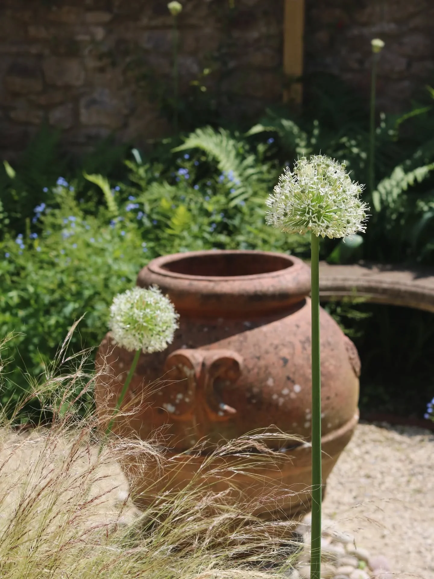Looking ahead to next week and the sun making a welcome return. ☀️

Summer naturally brings our gardens into focus.

The corners we've been meaning to tackle become harder to ignore. Ideas we've been storing away for months suddenly feel more possibl