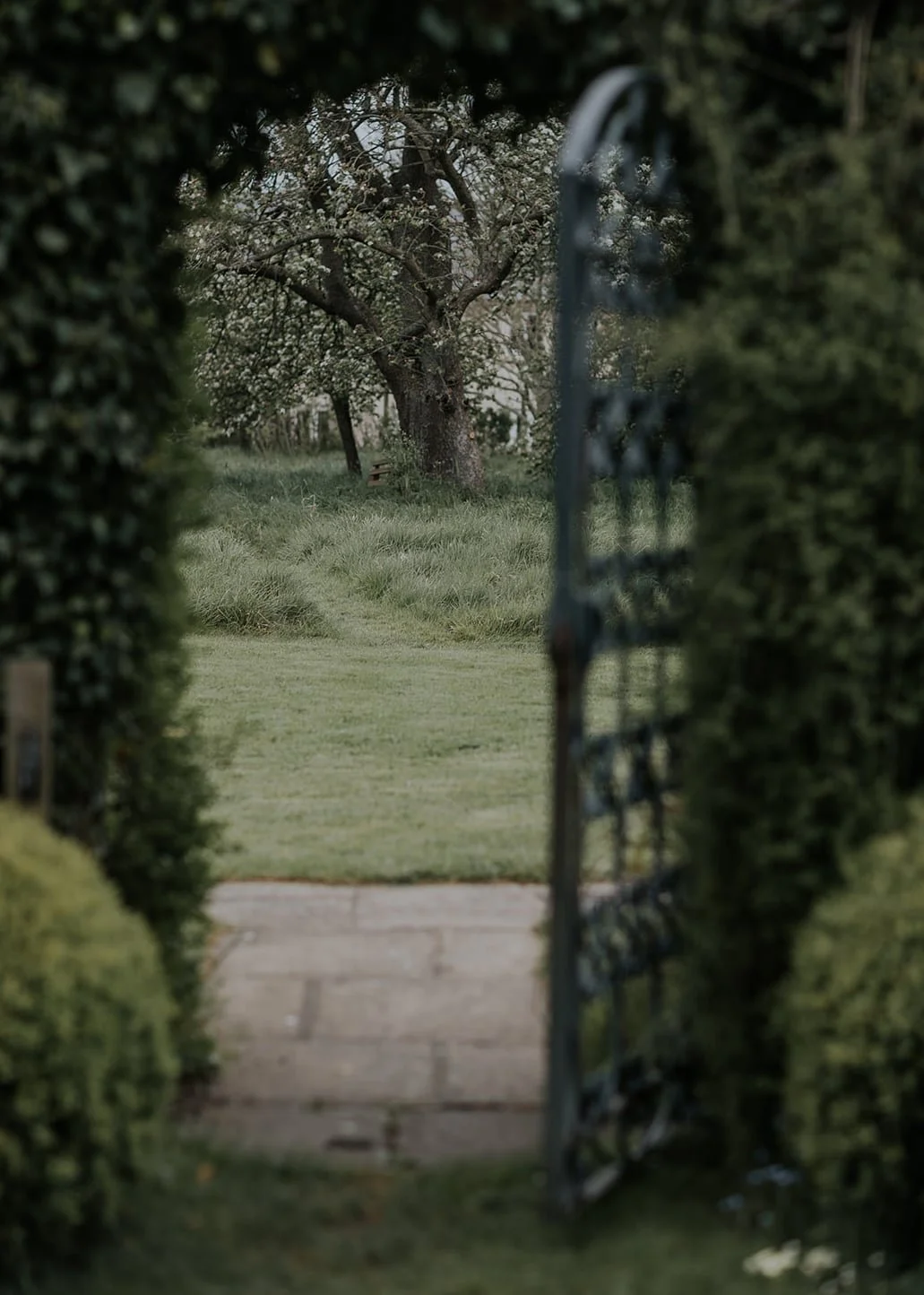 View of a garden gate leading to a grassy yard with a large tree and other trees in the background.