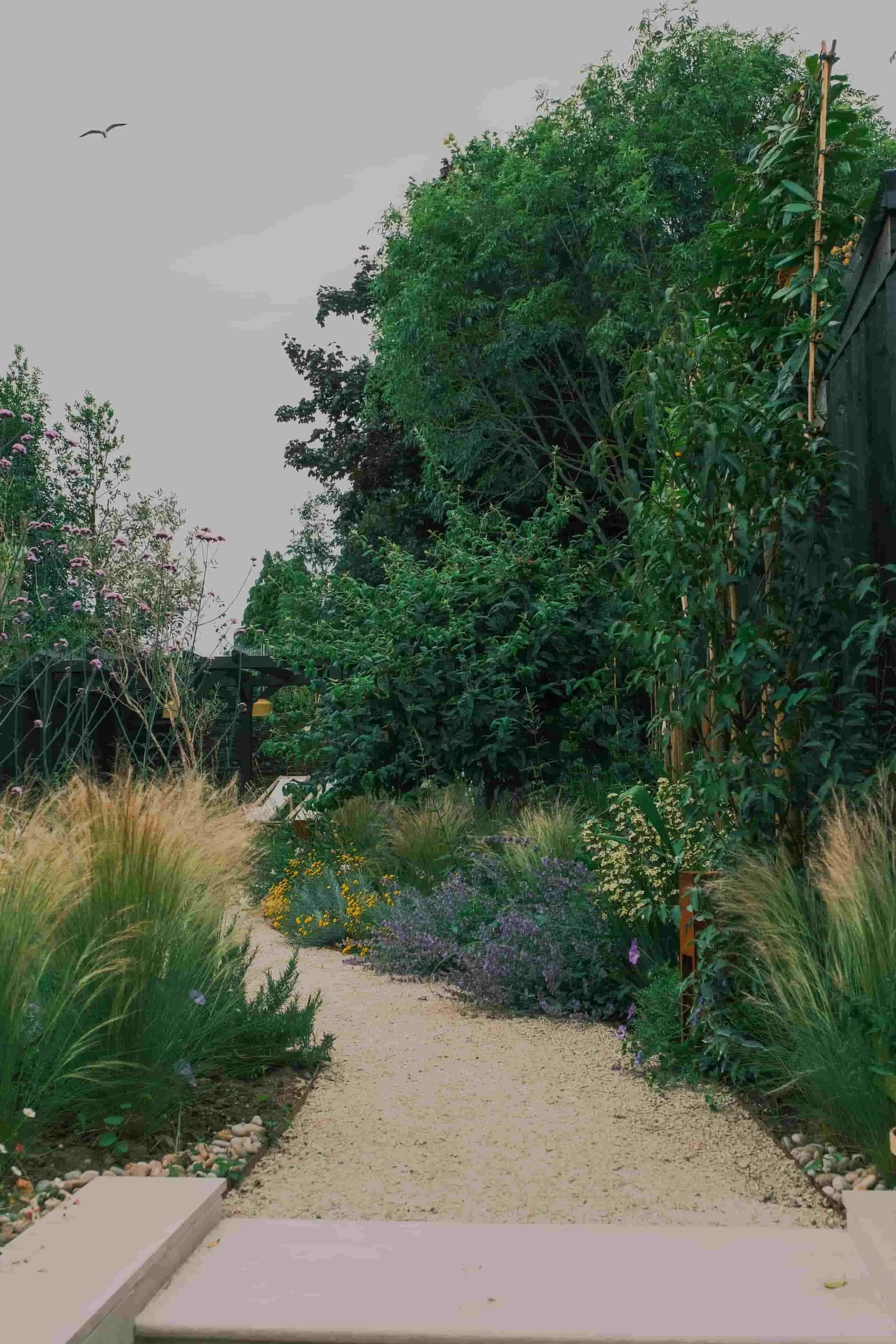 A garden pathway surrounded by various plants, shrubs, and flowers under an overcast sky with a bird flying overhead. Garden Designs.