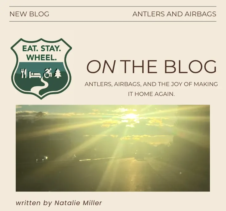 Antlers, Airbags, and the Joy of Making it Home Again