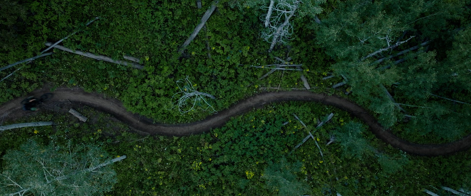 Choose your style_no grpahics_Master.00_00_47_16.Still037.jpg