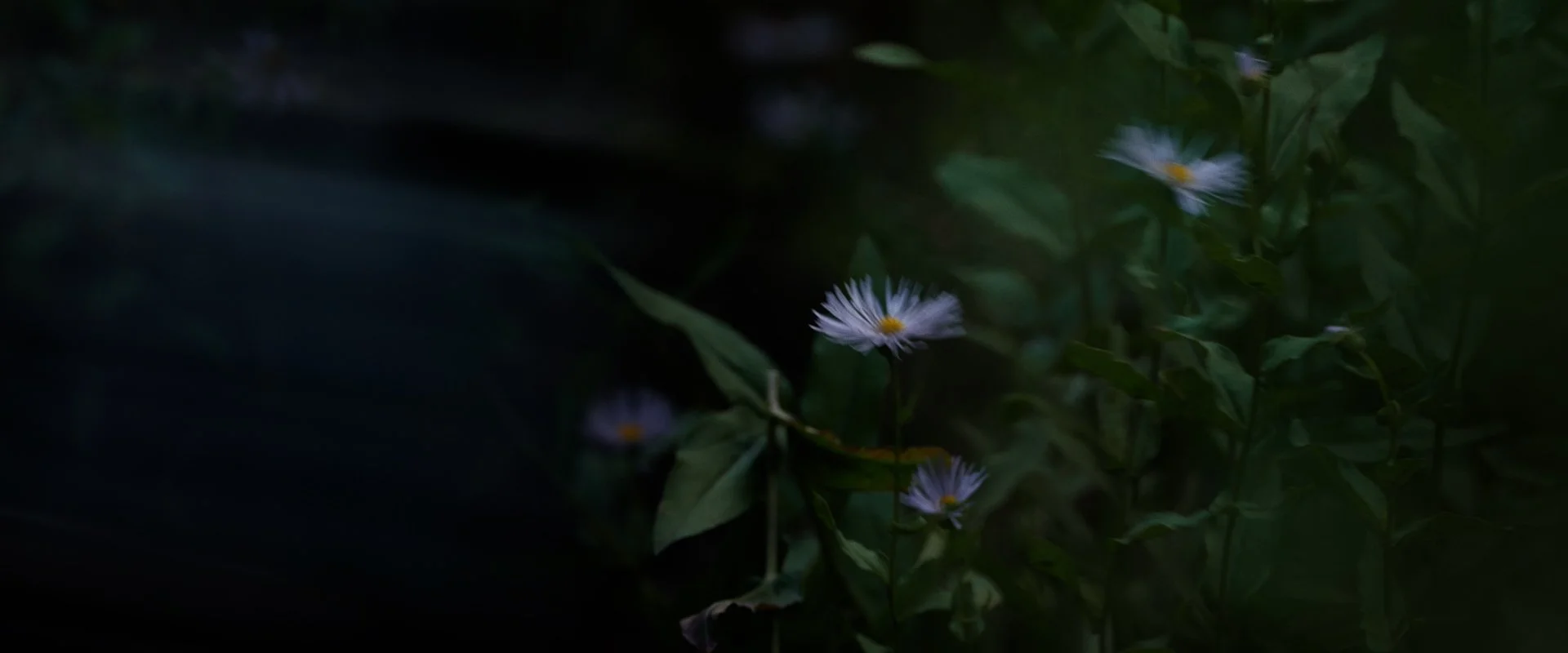 Choose your style_no grpahics_Master.00_00_07_23.Still005.jpg