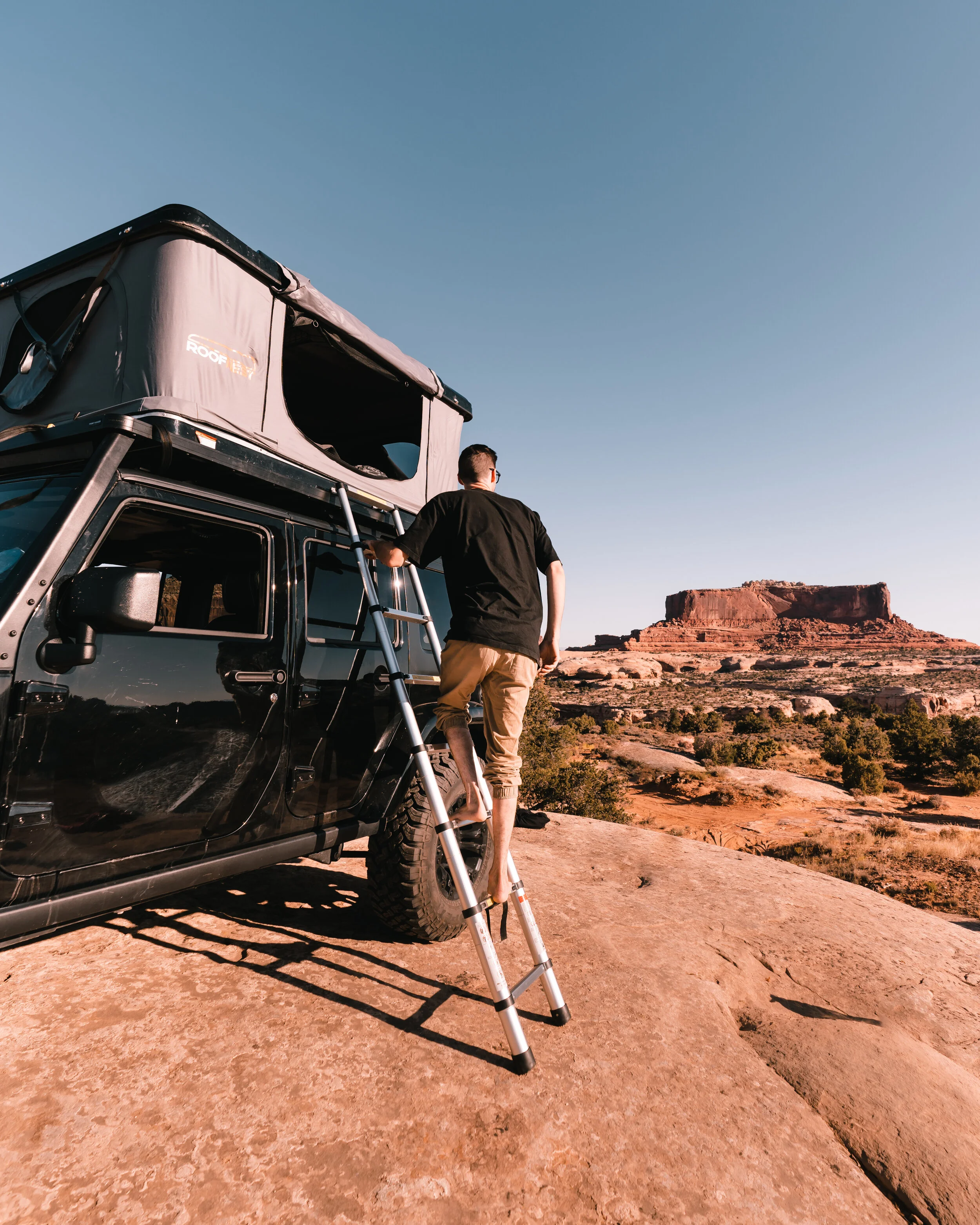 RoofNest (3 of 15).jpg