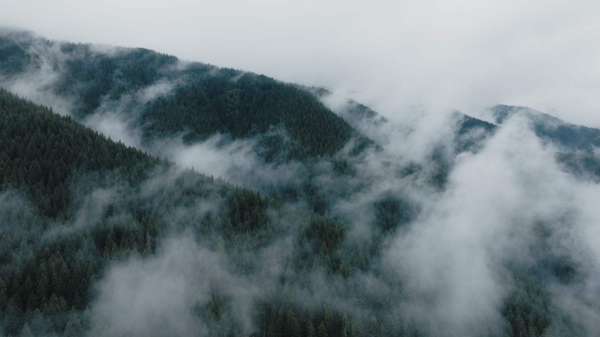 Cardiff Ski Launch_1.1.57.png