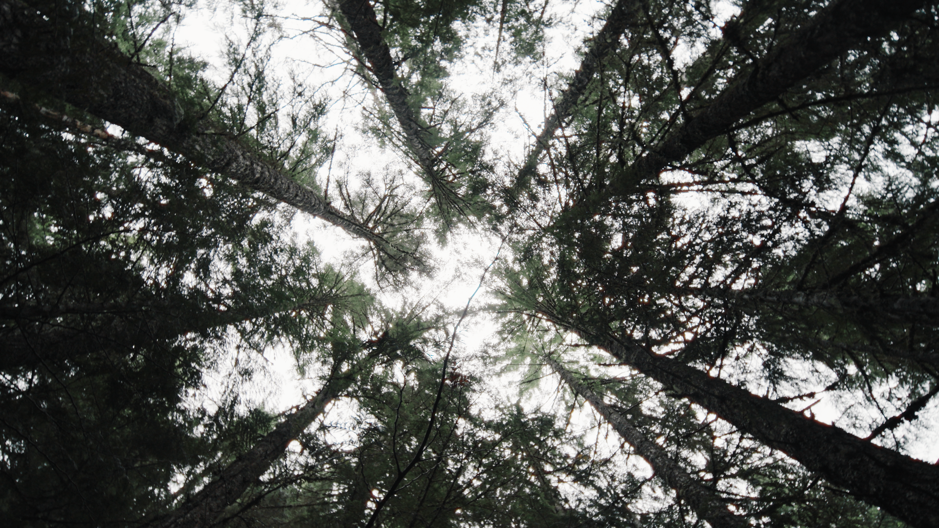 Cardiff Ski Launch_1.4.1.png