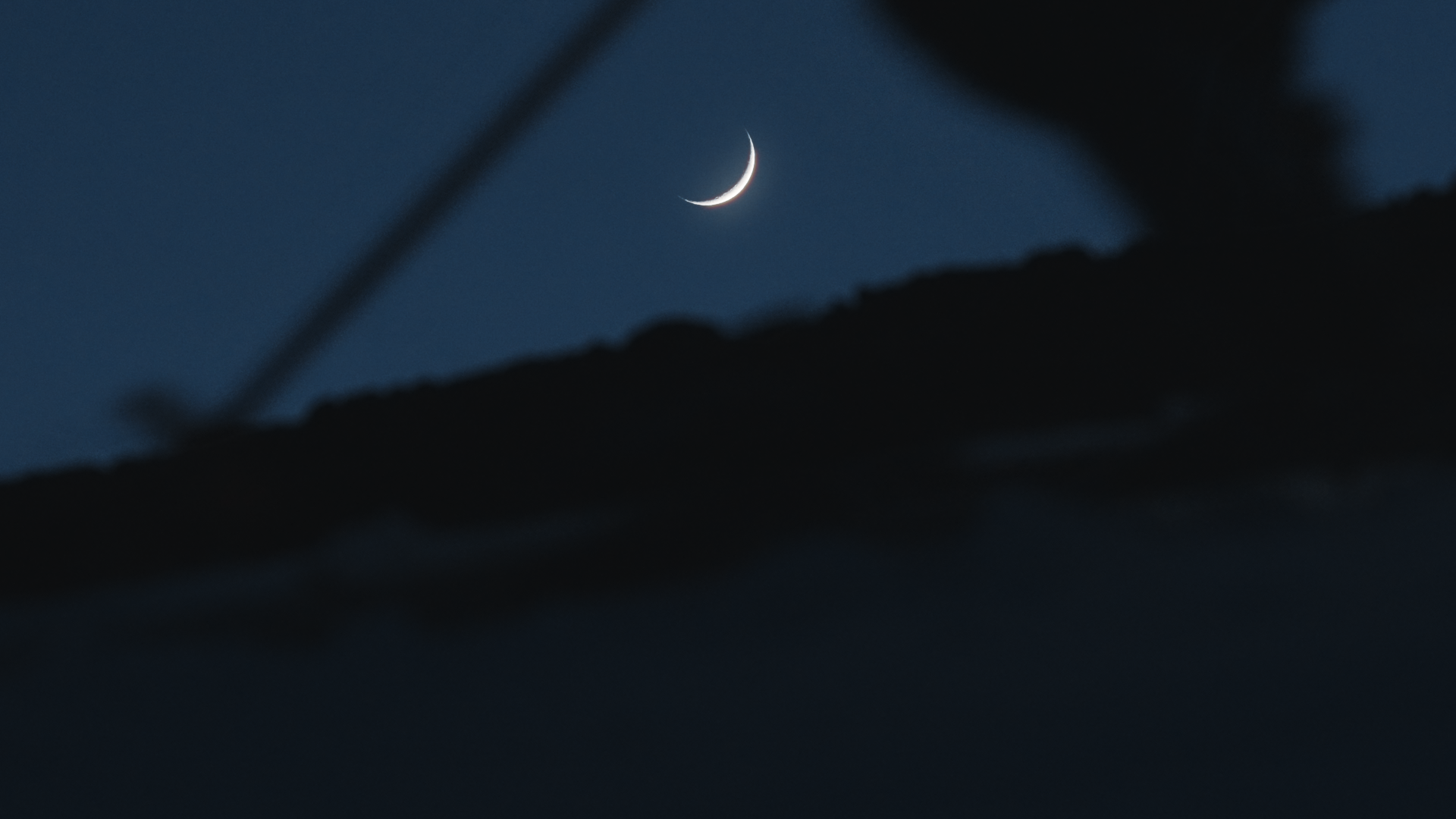 Cardiff Ski Launch_1.1.3.png