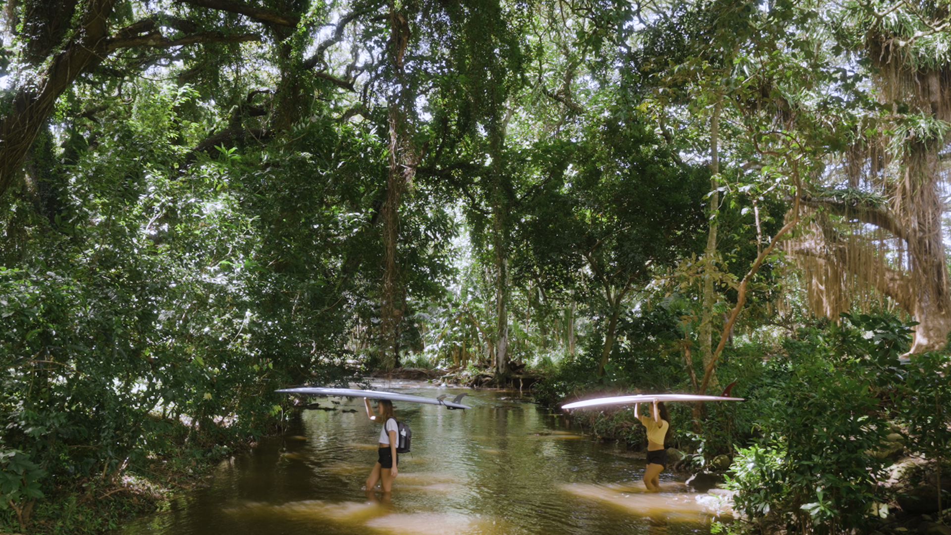 HI Kachava Alt .00_00_03_14.Still019.png