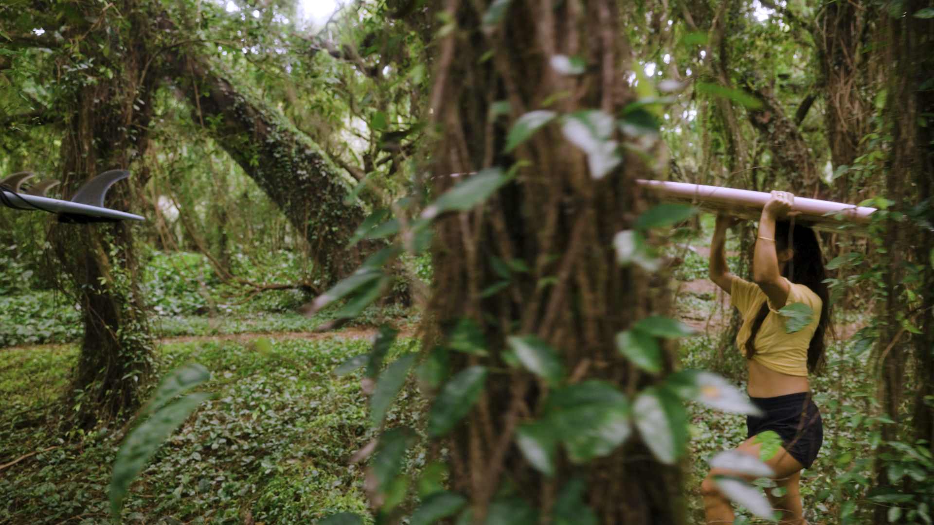 HI Kachava Alt .00_00_13_23.Still016.png