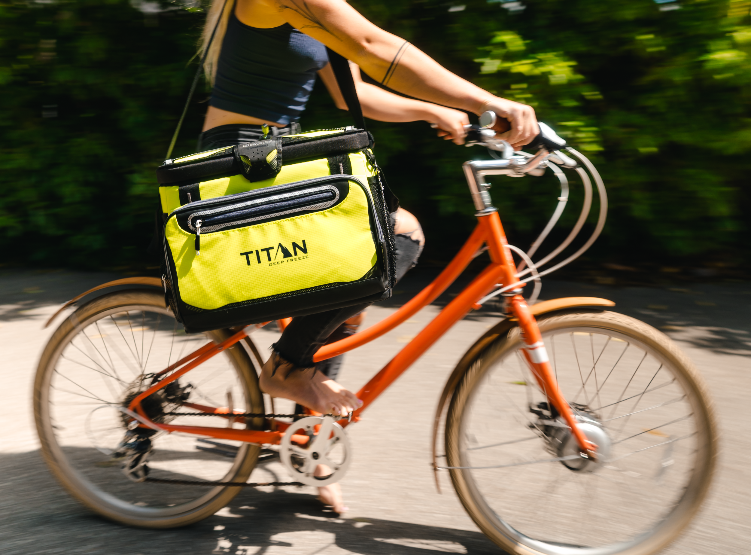 Arctic Cali_Neon Yellow (3 of 10).png