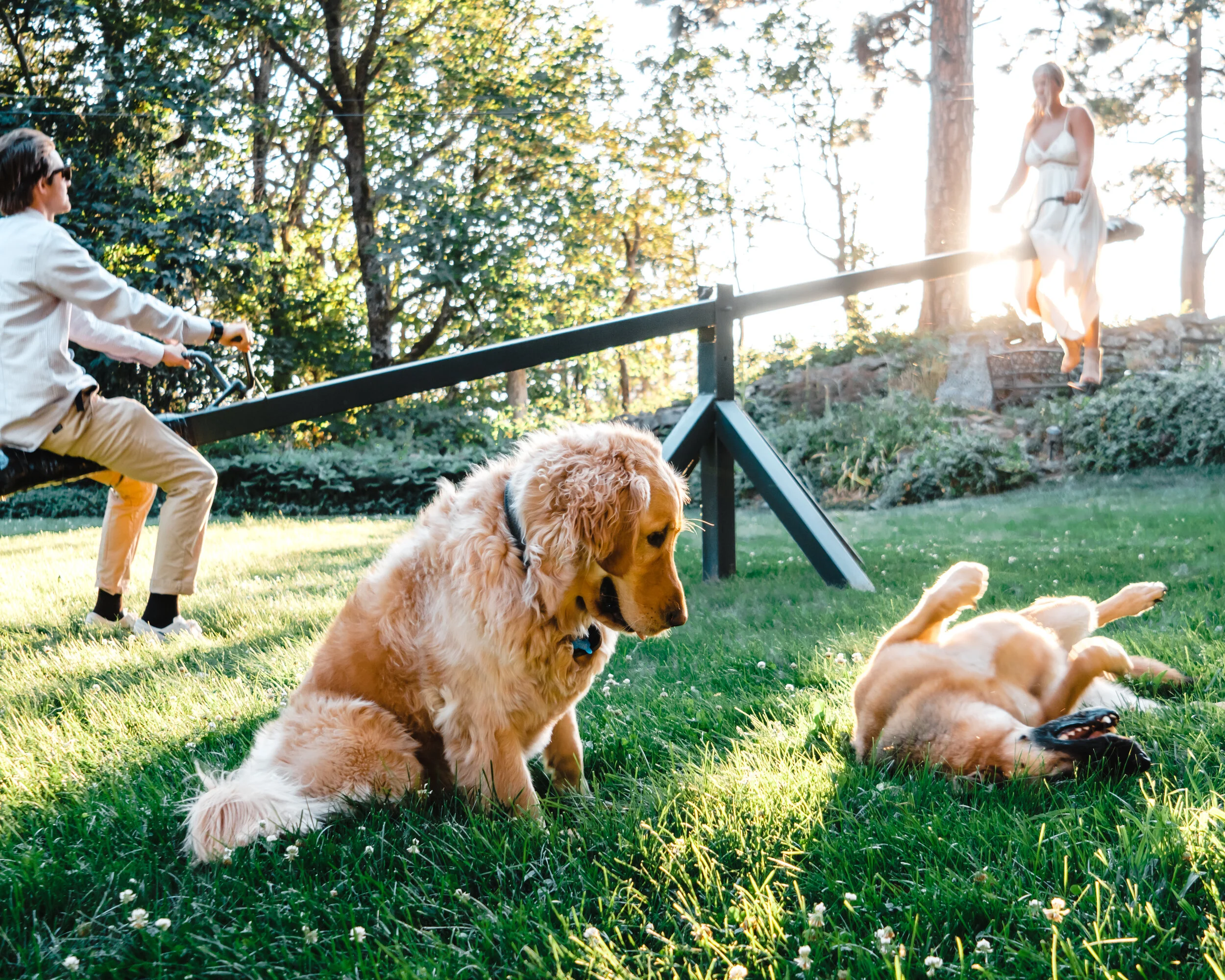 SLC Wedding Photographer-4.jpg