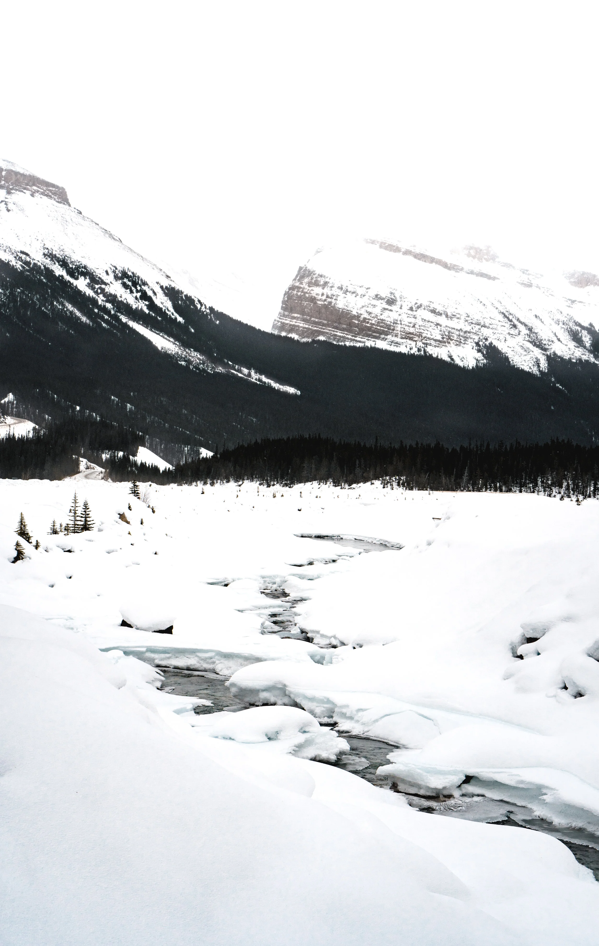 Mt+river (1 of 1)-2.jpg