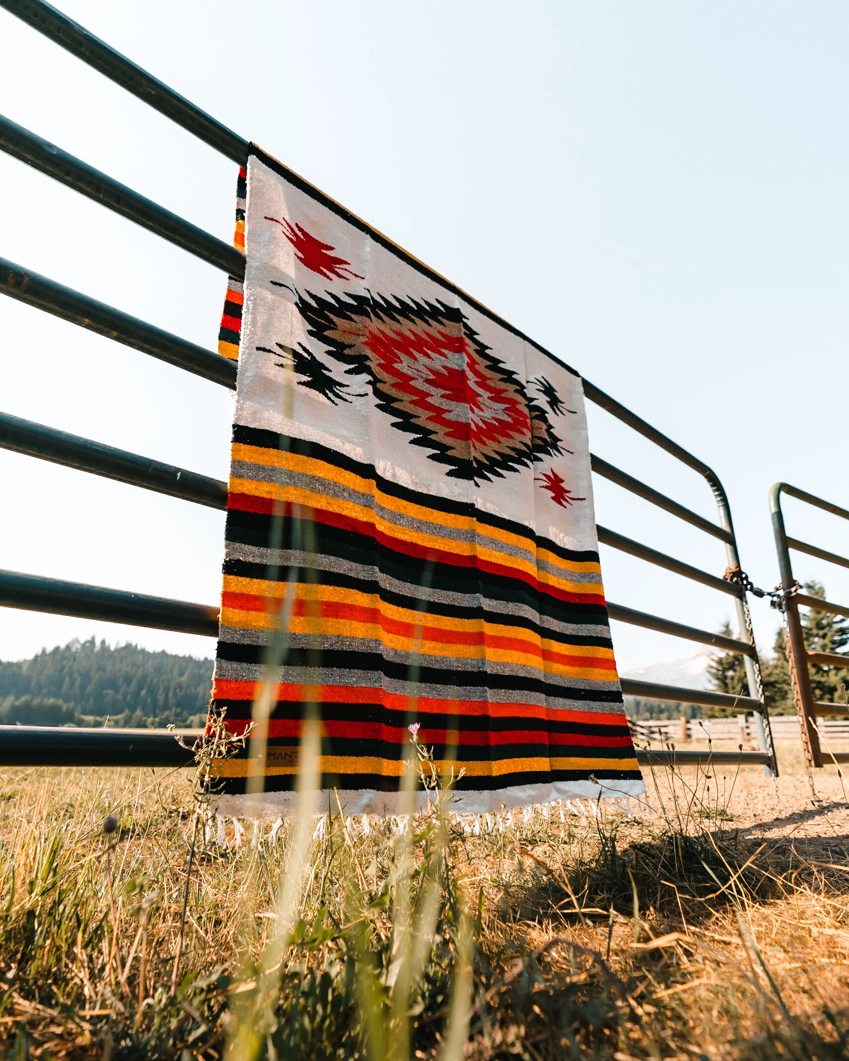 Best SLC Photographers-7.jpg