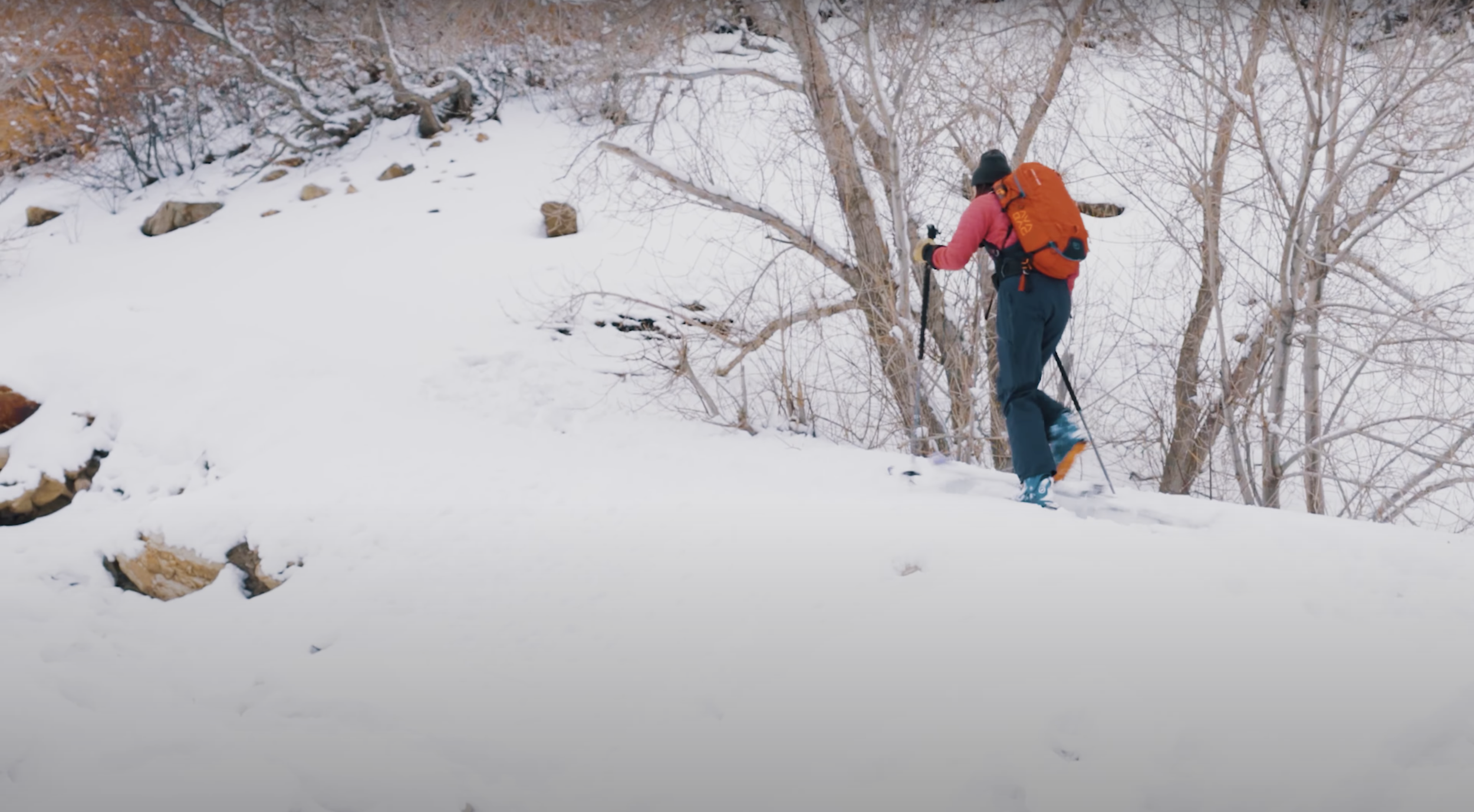 Screen Shot 2021-08-18 at 2.24.30 PM.png