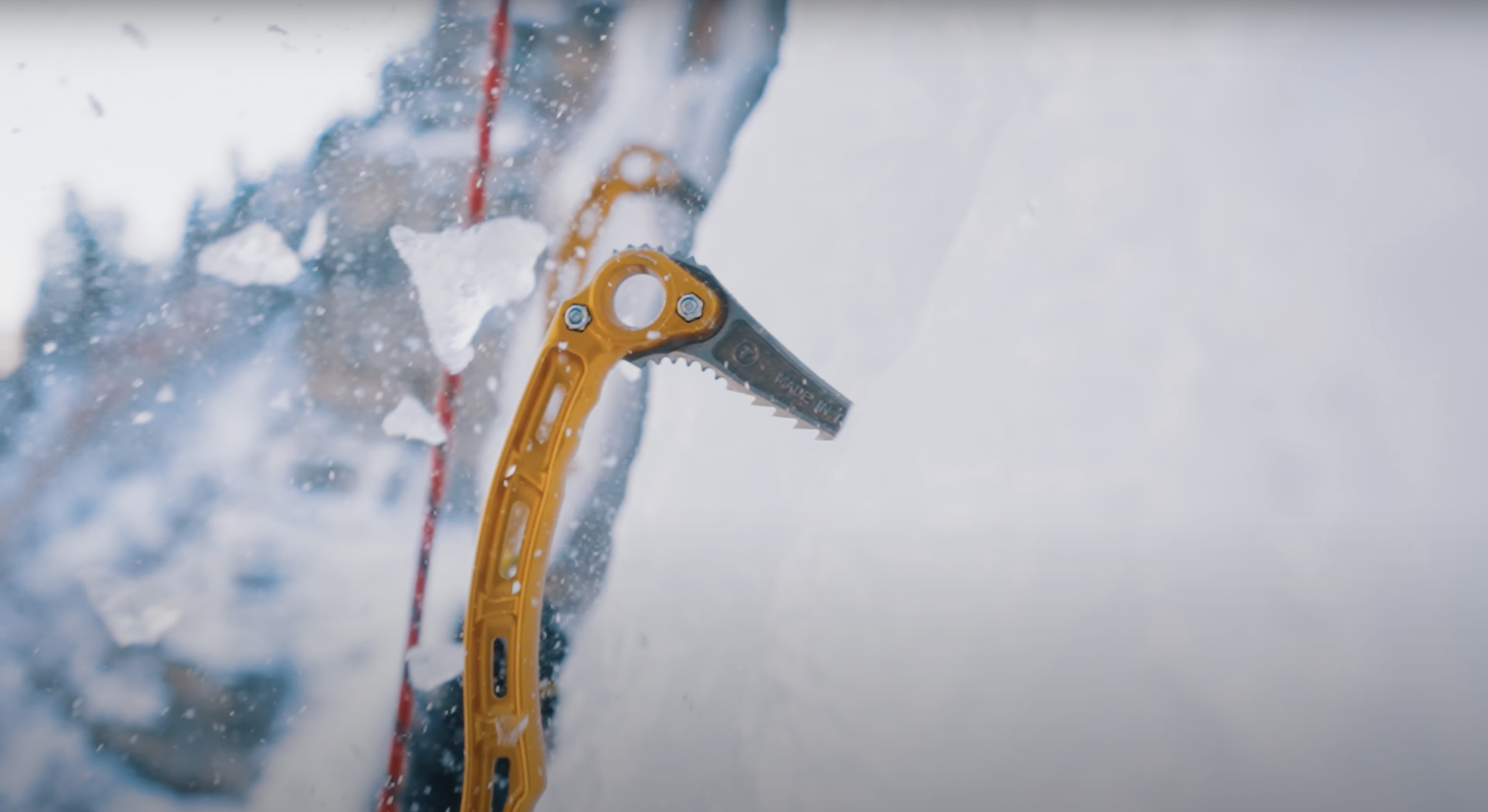 Screen Shot 2021-08-18 at 2.17.48 PM.png