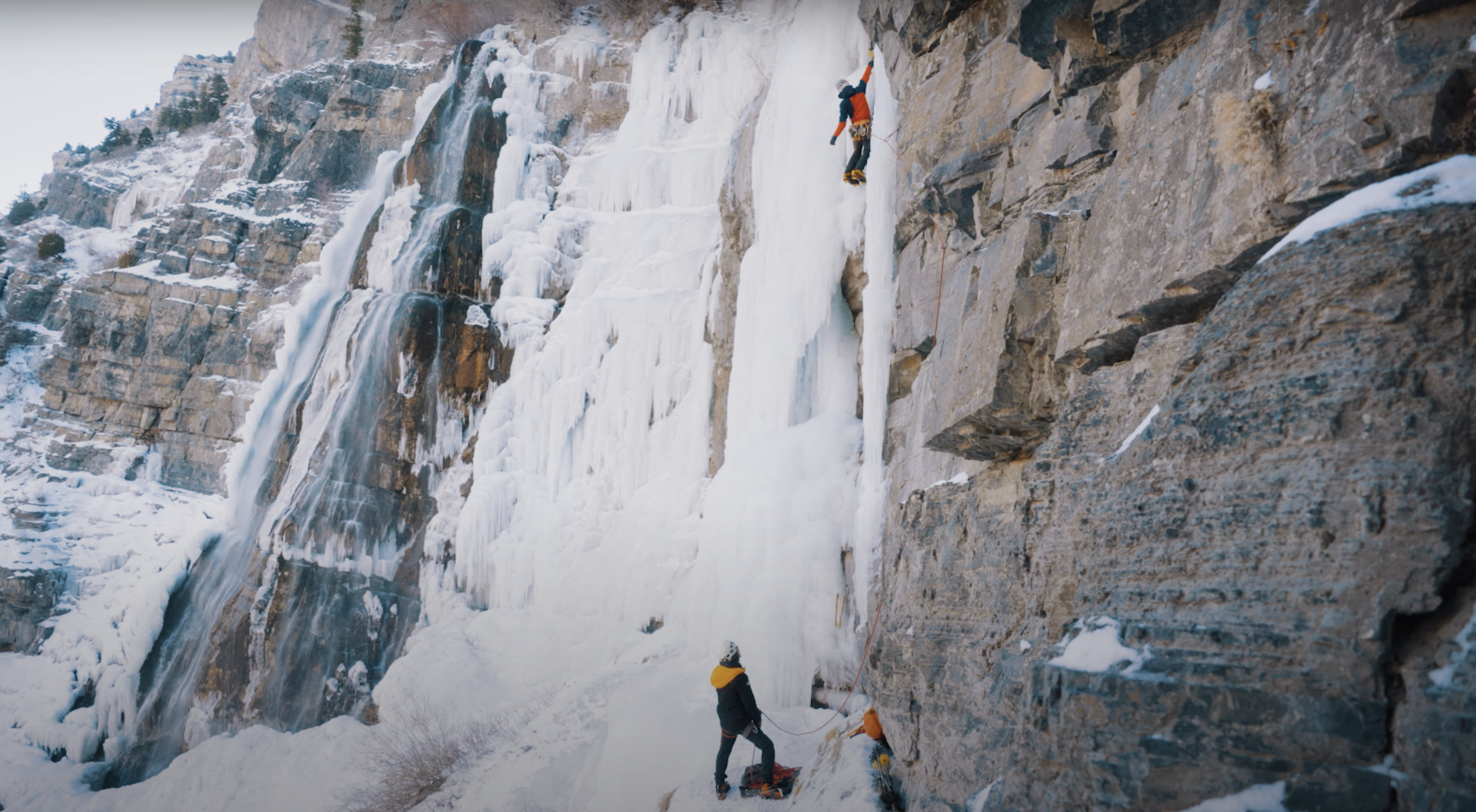 Screen Shot 2021-08-18 at 2.30.33 PM.png