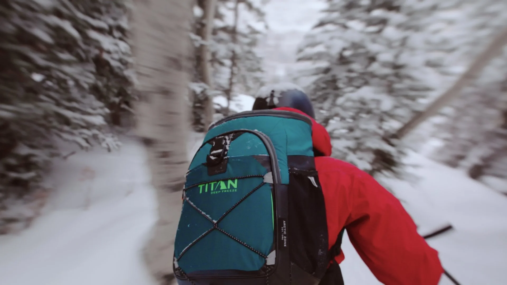 AZ Gift Video Stills_1.1.16.jpg