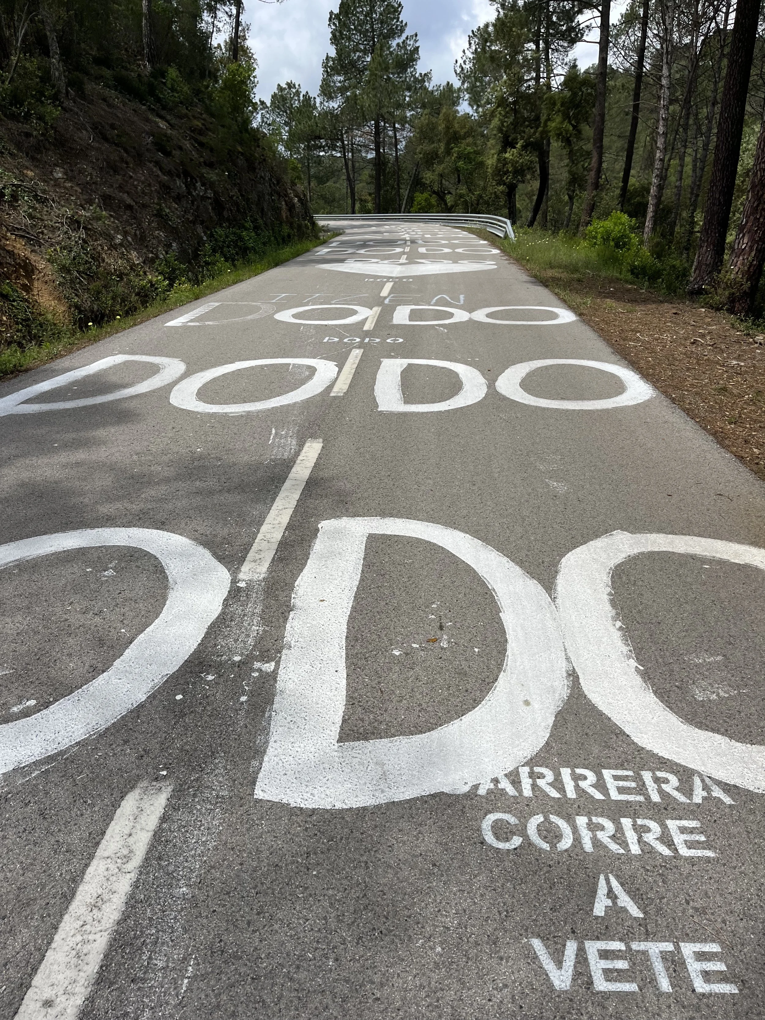 TOP 5 CLIMBS IN GIRONA