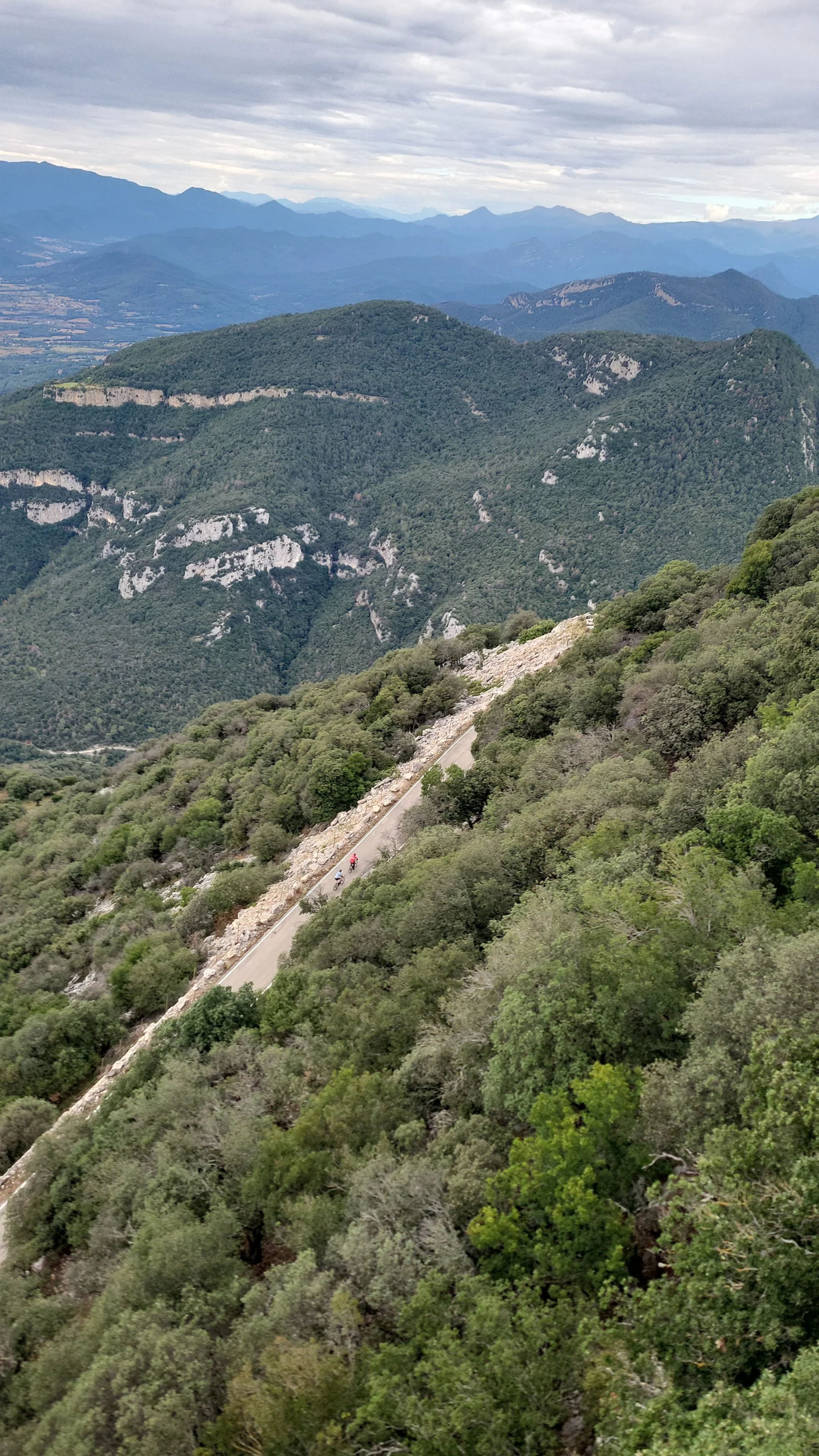 Aerial view of a winding mountain road with cyclists, surrounded by green trees and hills, with mountain peaks in the background.