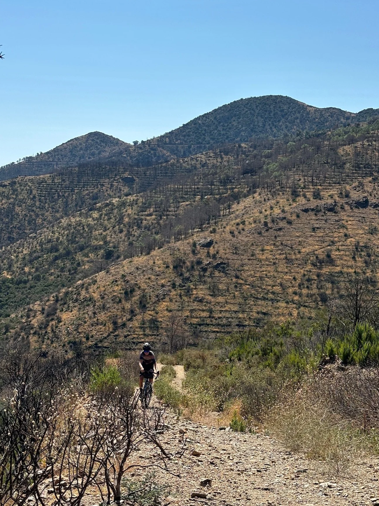 A person riding a gravel bike on a dirt trail through dry, hilly terrain with sparse bushes and trees, under a clear blue sky.