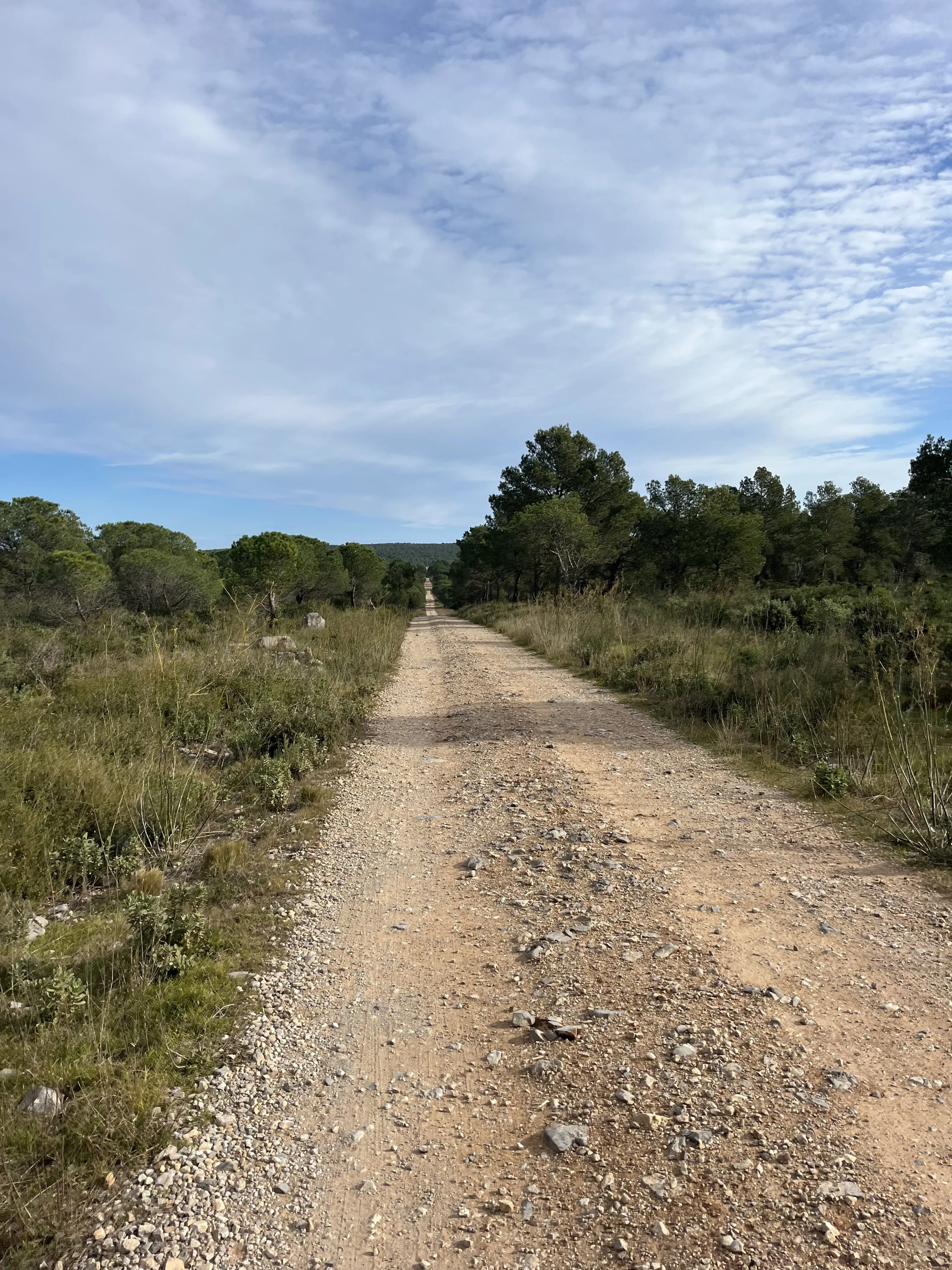 A dirt road stretching through a semi-arid landscape with sparse vegetation and trees, under a partly cloudy sky.