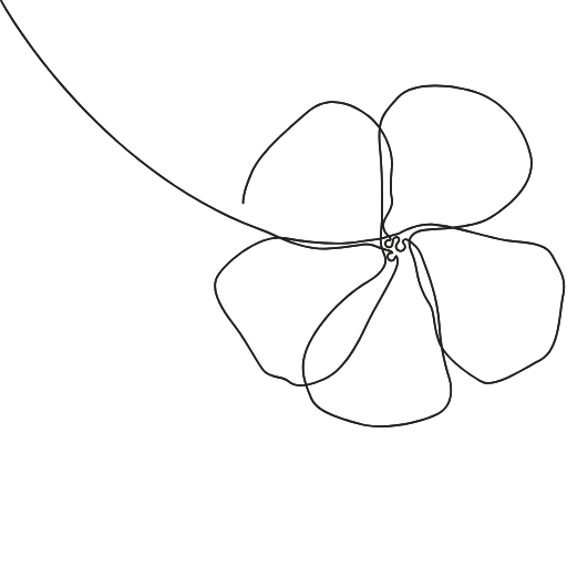 Line drawing of a butterfly with four wings on a black background.