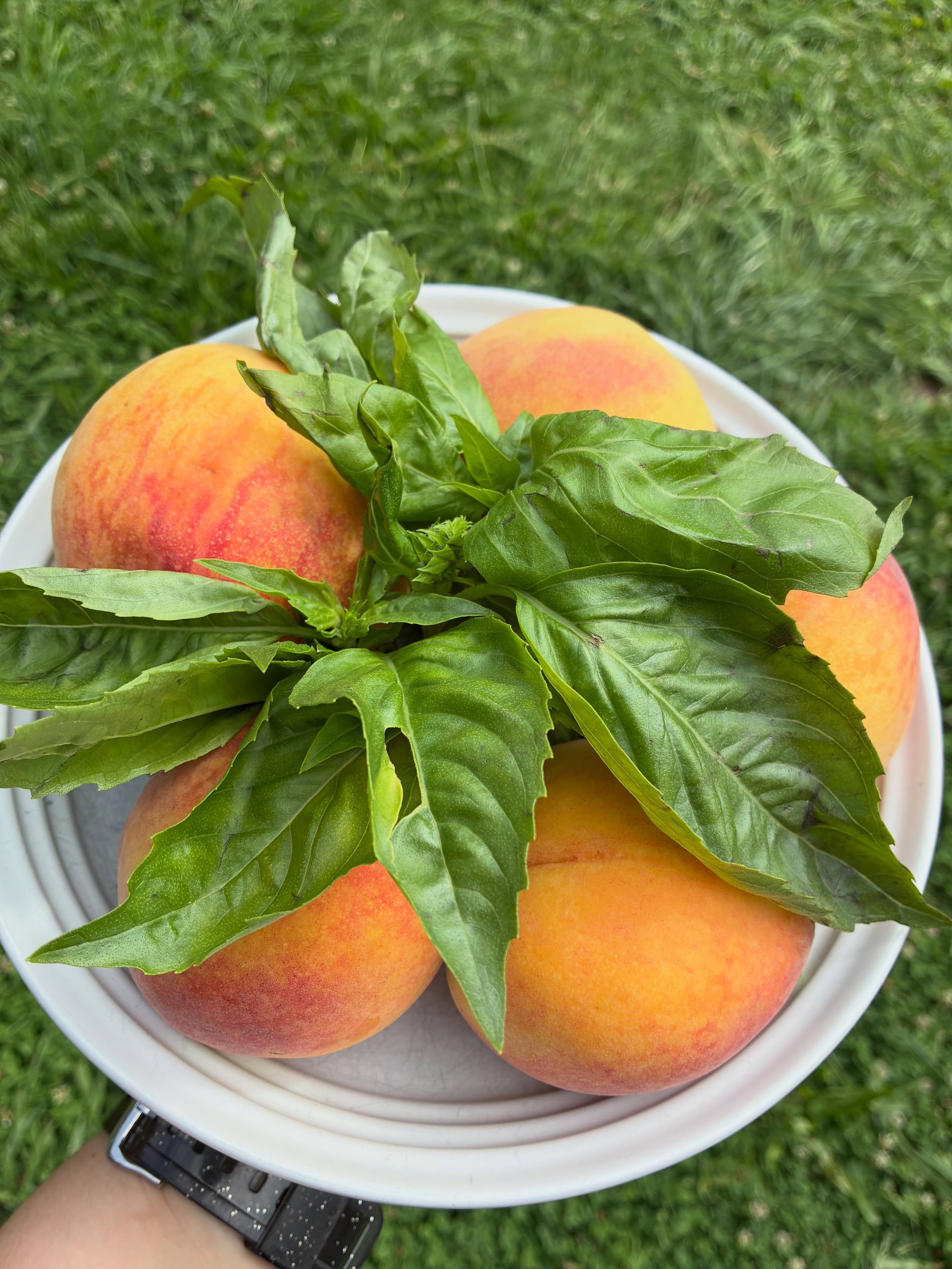 summer flavors are shining! 🍑 

If you want to order for a group or outside of our regular pick-up times, just DM us! 

#peachseason #detroitstylepizza #maryvilletn #peachpizza