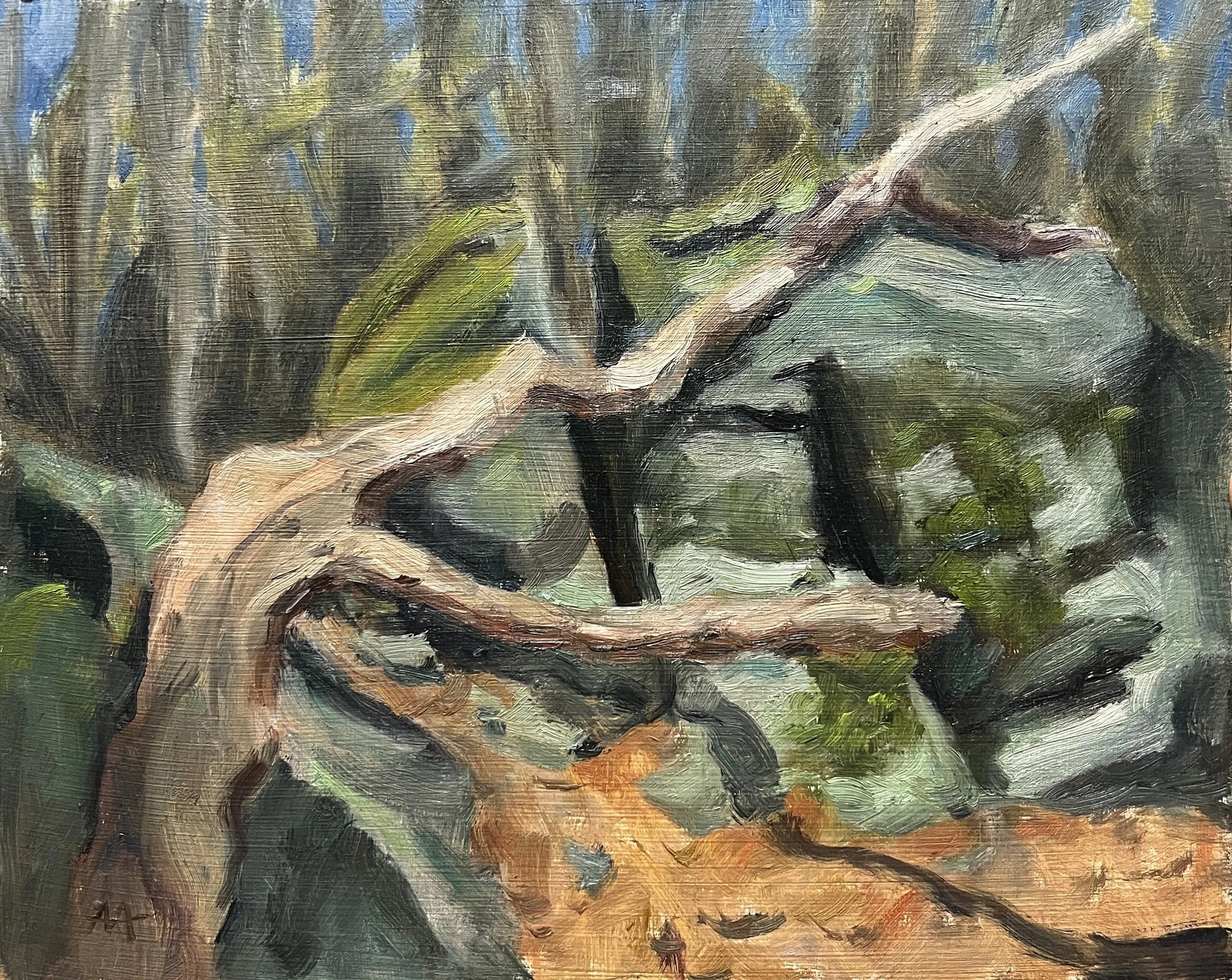 If a Tree Falls in the Woods... - Oil on panel 8x10 - $300