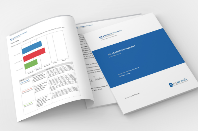 Six Second SEI Assessment