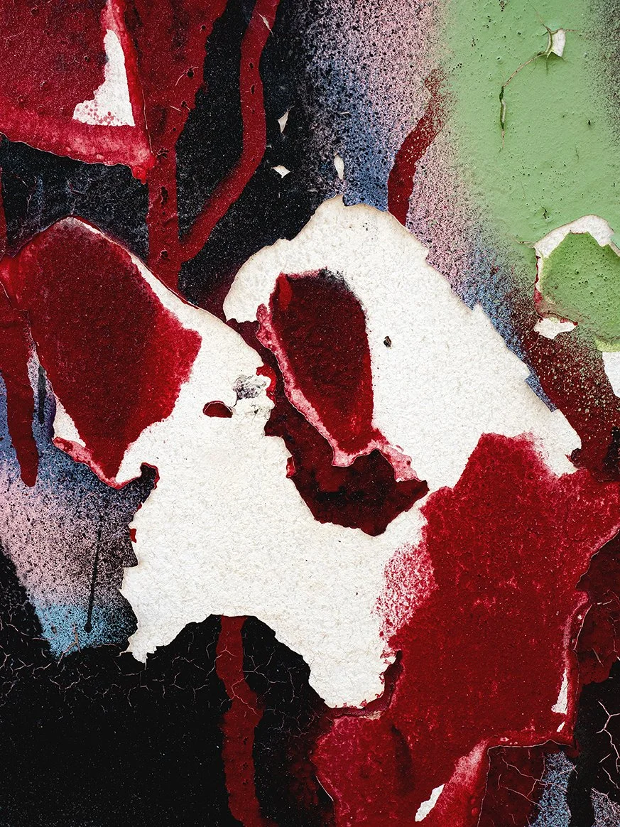 Creatures - N0. 01.jpg