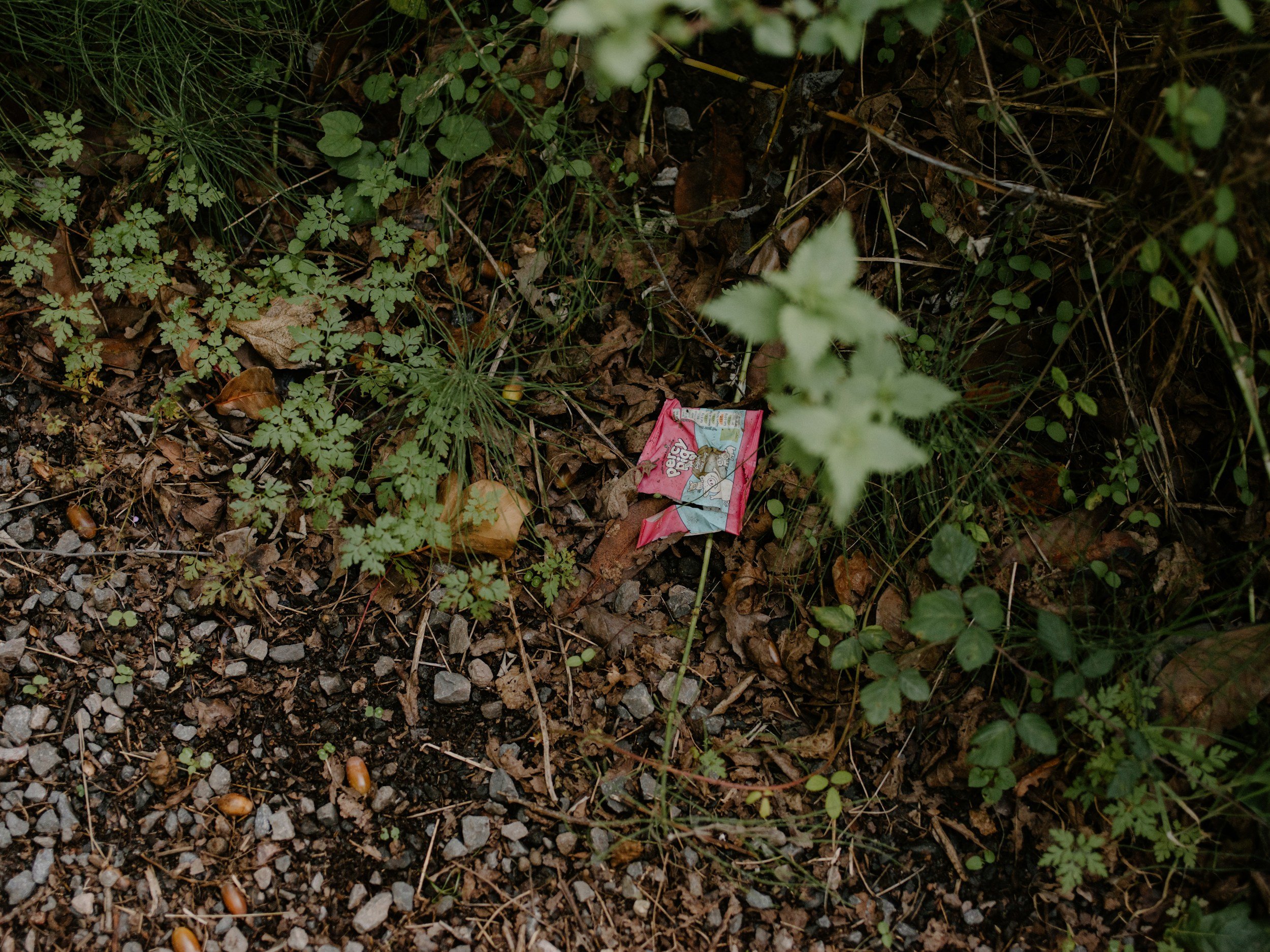 Litter Picking 