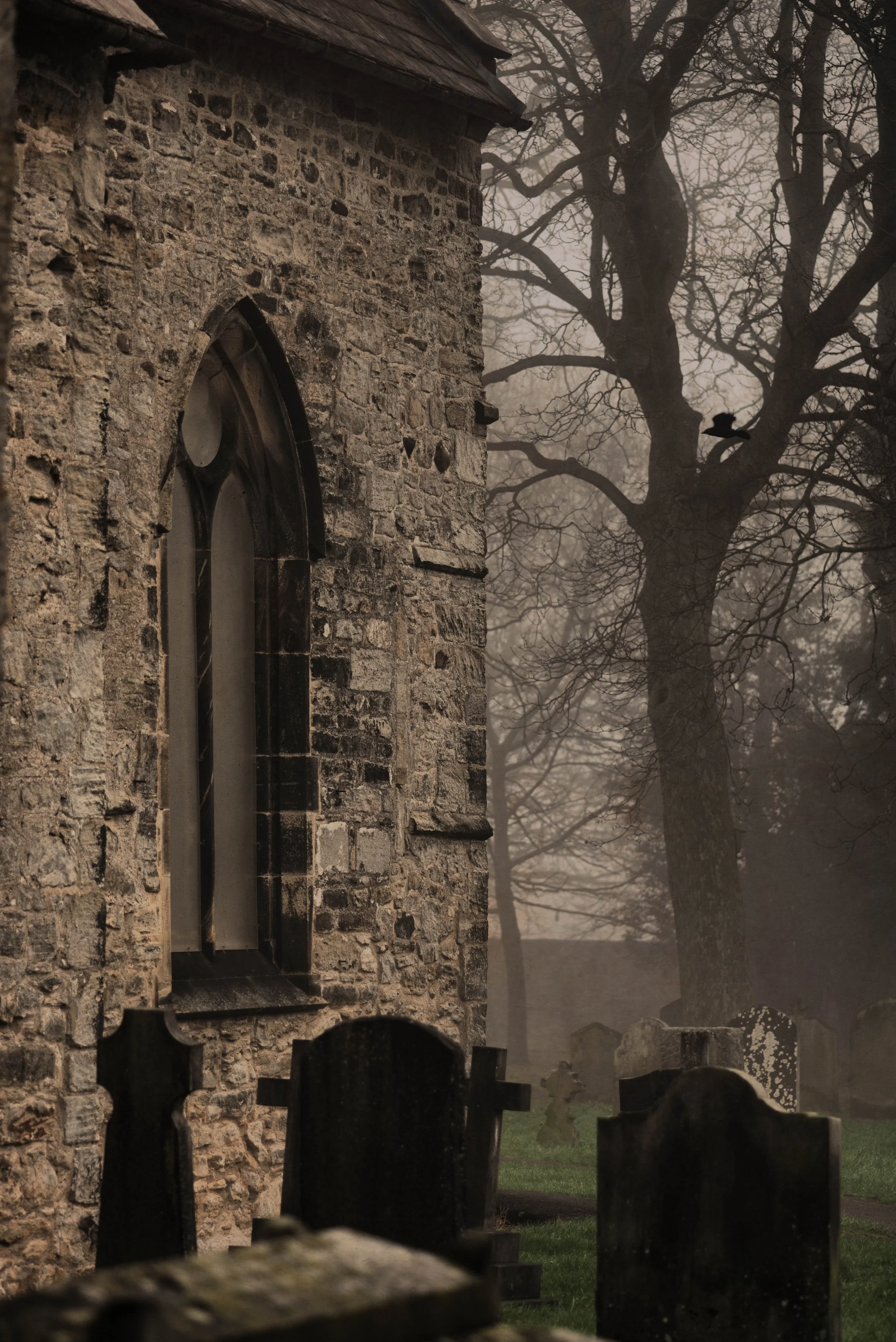 A stone church wall and arched window with tombstones in a graveyard in the foggy misty background, leafless trees, and a black bird perched on a branches.