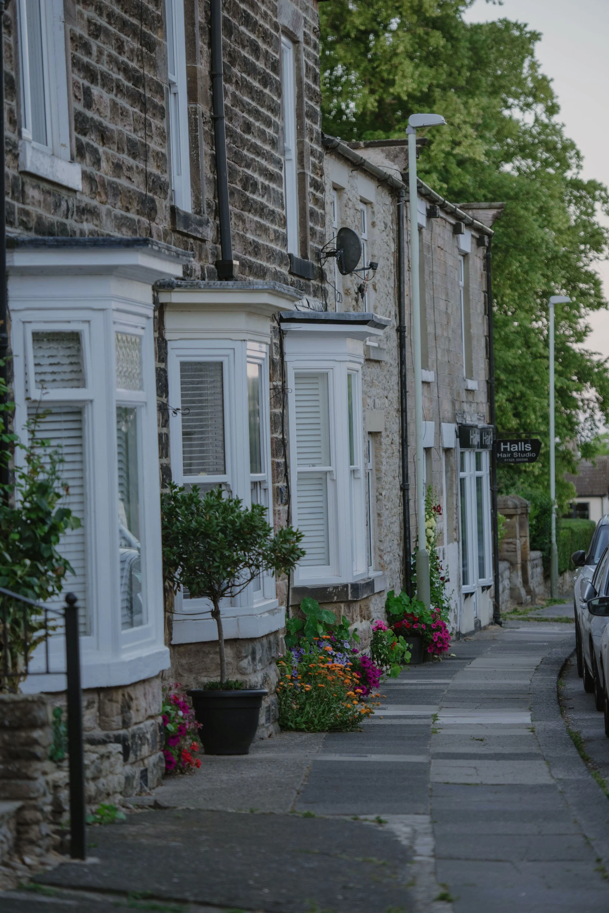 A row of stone houses with white bay windows, potted flowers, and a sidewalk, under streetlights, with a tree in the background.