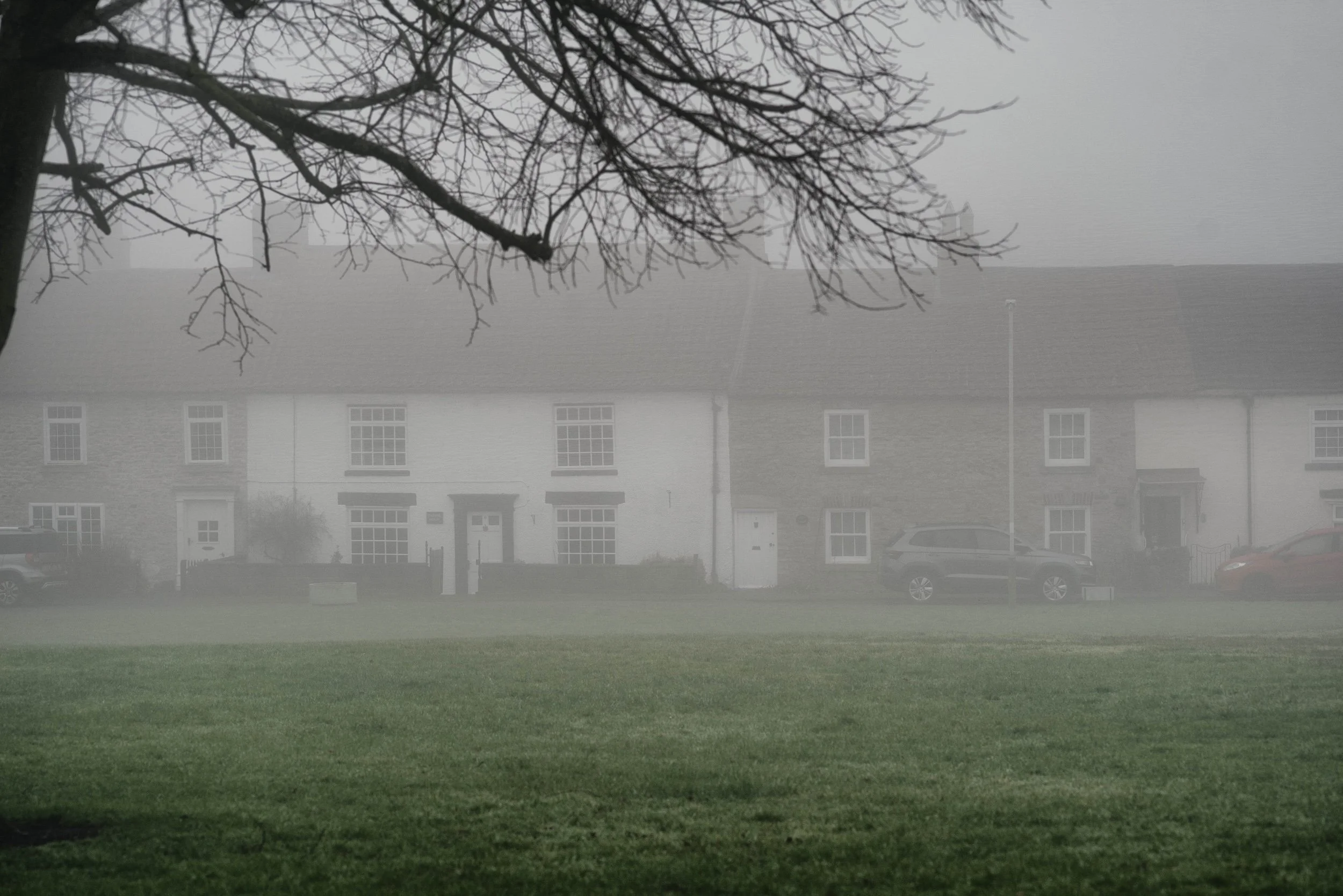 A foggy scene showing a row of residential houses with cars parked in front, a leafless tree with many branches in the foreground, and a lamppost in the background.