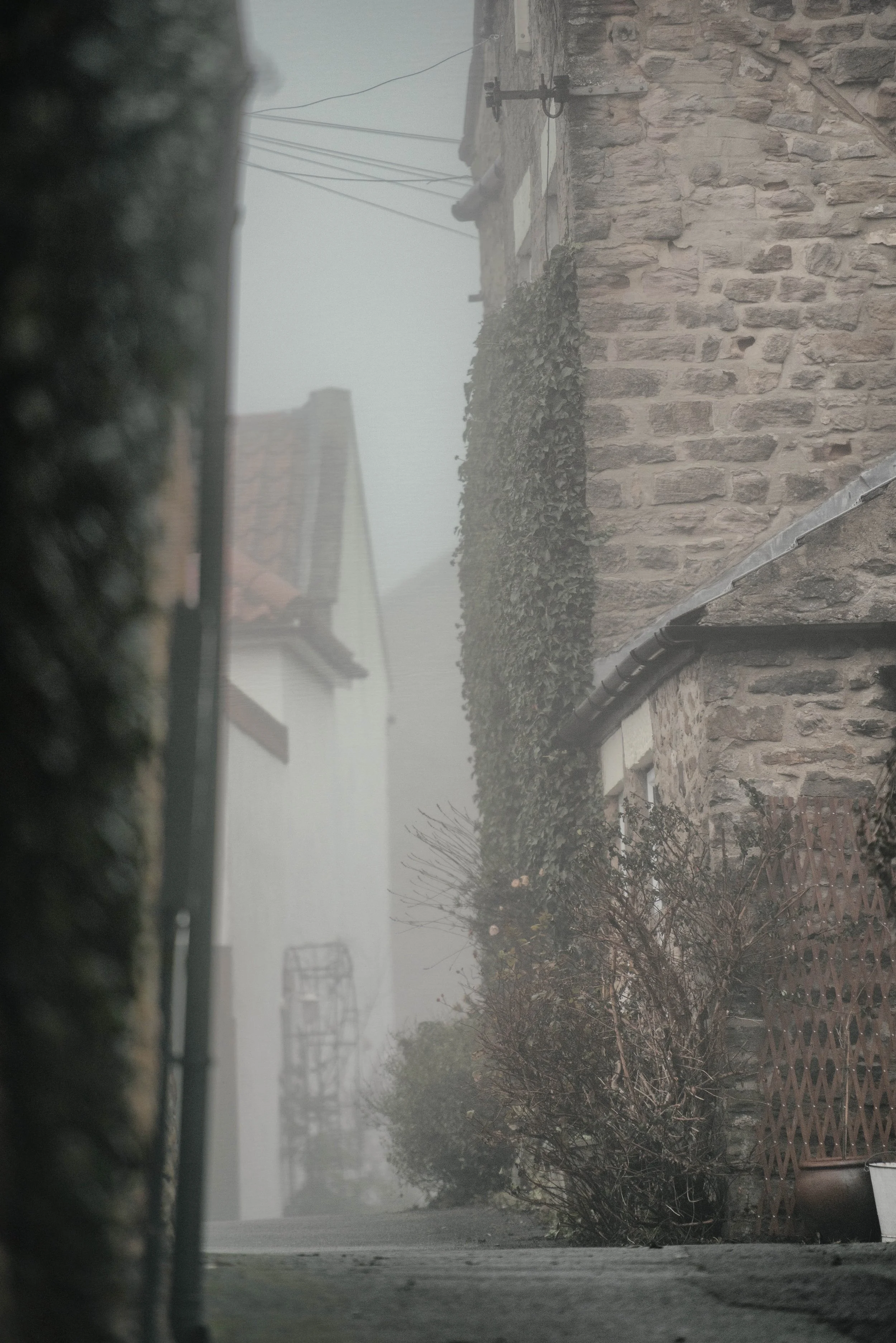 A foggy residential backyard with a brick wall, leafless trees, a wooden fence, and a potted plant.