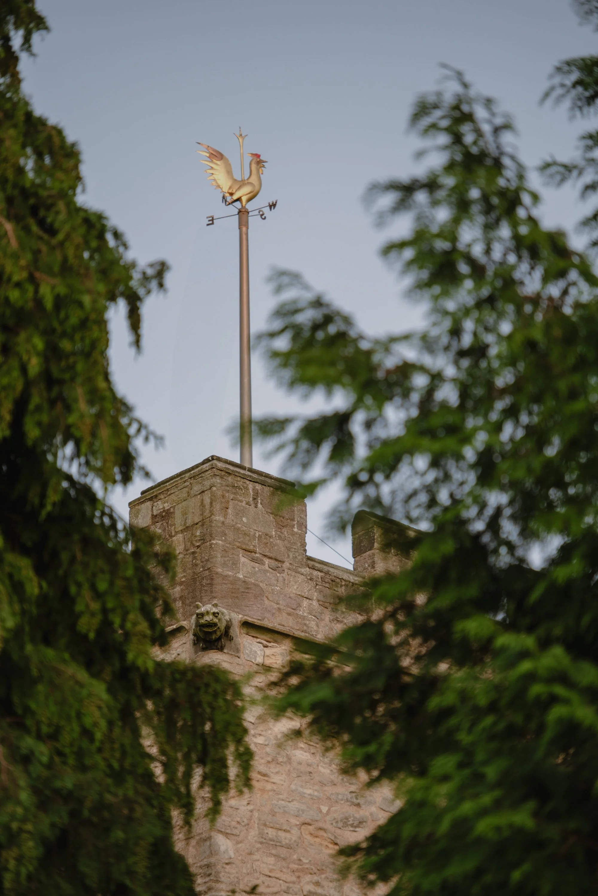 A weather vane shaped like a rooster on top of a stone building, framed by green trees, with a clear sky in the background.