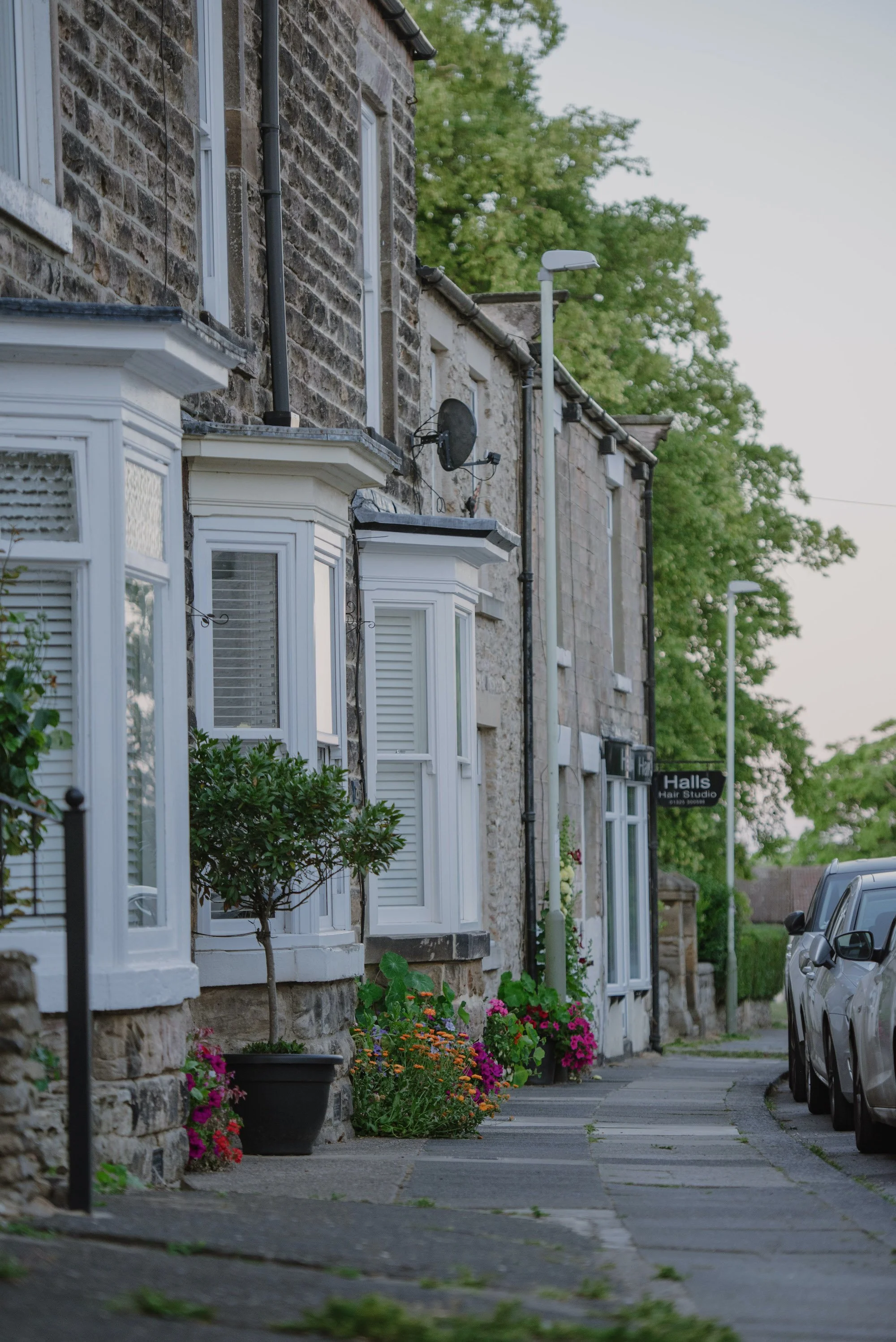 A row of stone houses with white bay windows, potted flowers, and a sidewalk with parked cars, street lamps, and trees in the background.