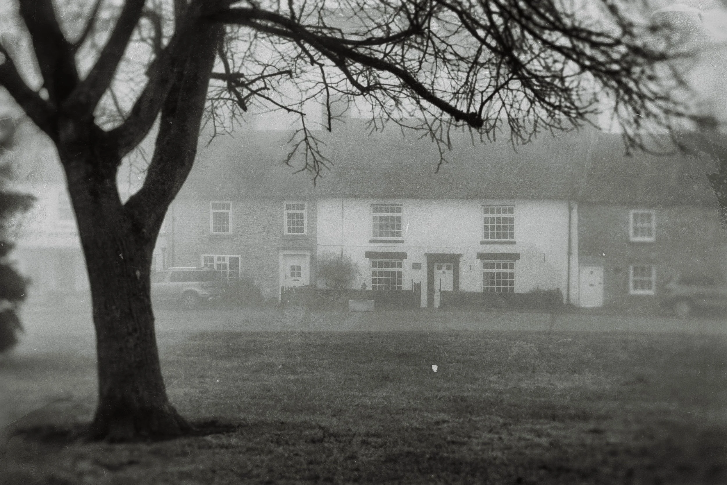 A black and white photo shows a large, leafless tree in the foreground with a house and parked cars in the background, suggesting a foggy day.