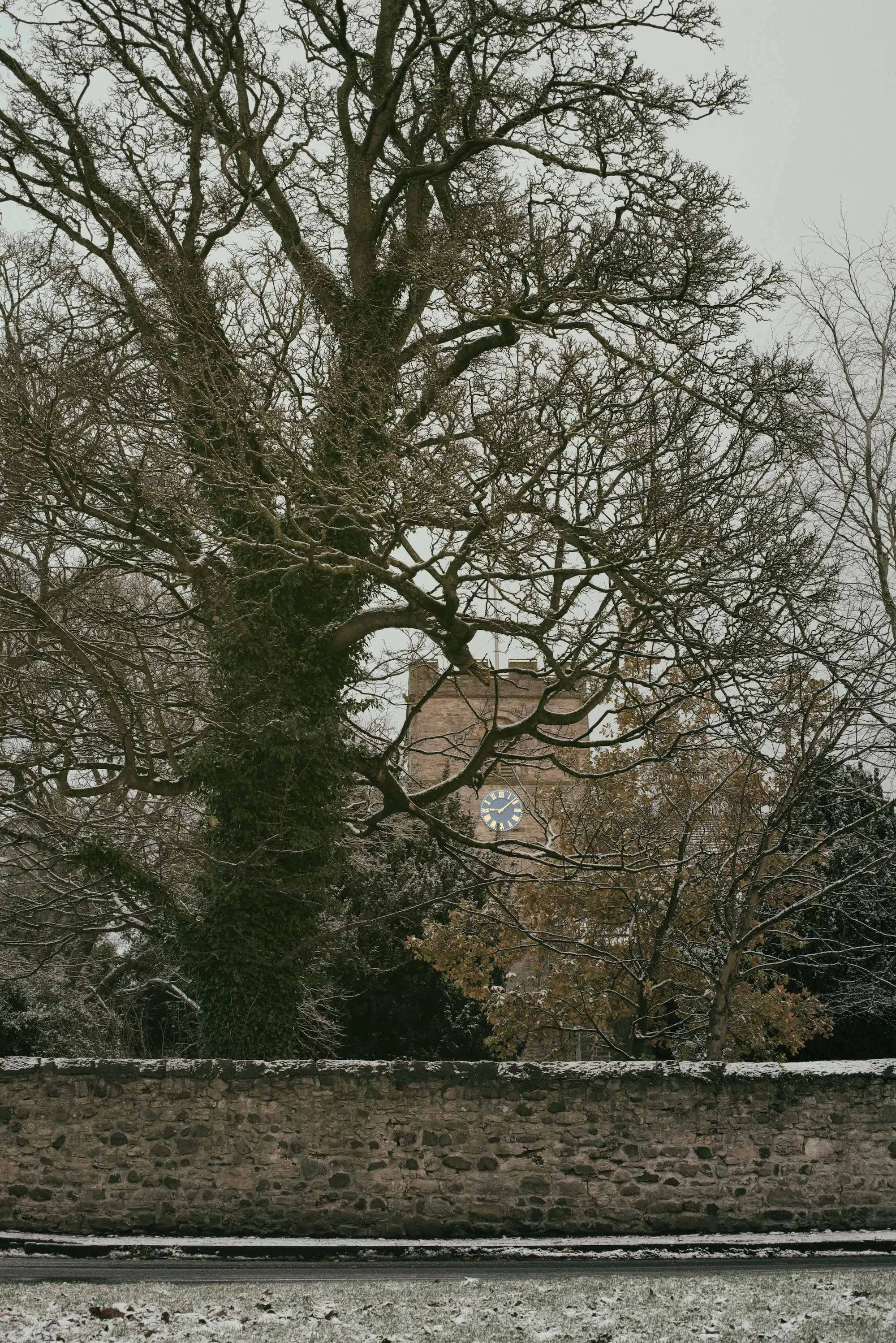 A large, leafless tree covered in snow in front of an old stone building with a clock, during winter with cloudy sky and snow on the ground.