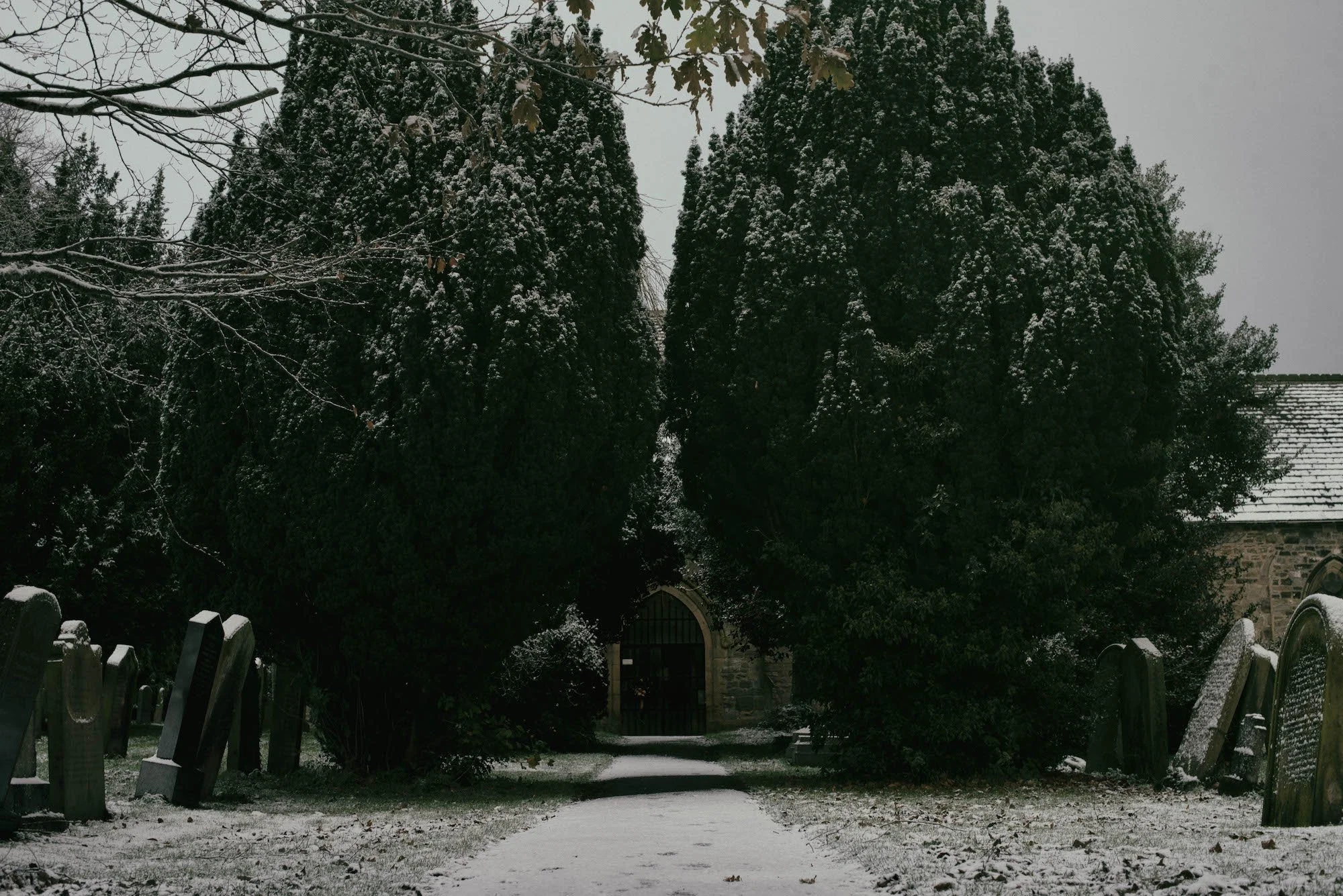 Snow-covered pathway leading to a stone arch gate, flanked by tall, snow-dusted cedar trees, with a nearby weathered wooden fence and a building rooftop visible in the background on a cloudy winter day.