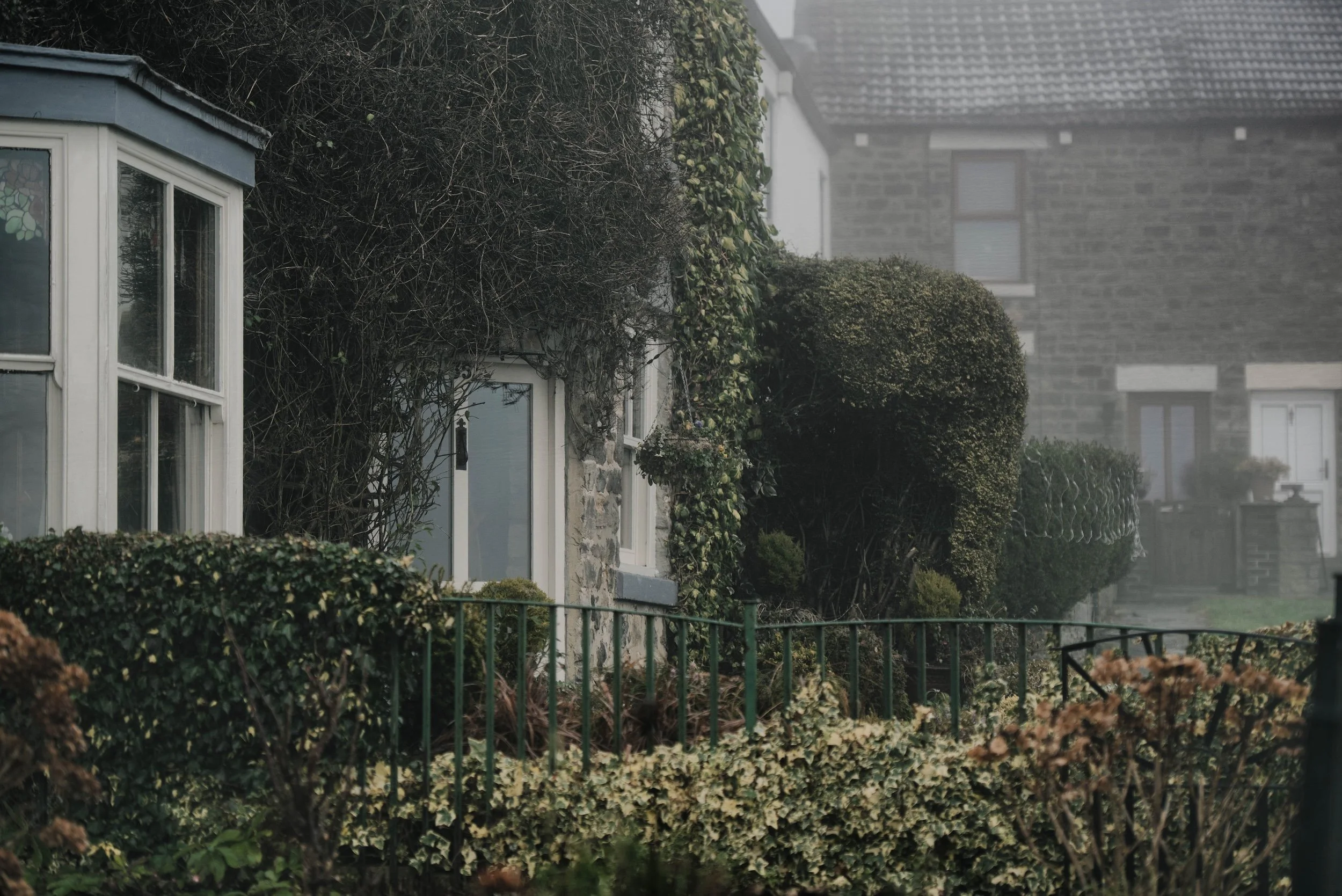 A row of suburban houses with stone facades, surrounded by neatly trimmed bushes and garden fences, with a foggy sky in the background.