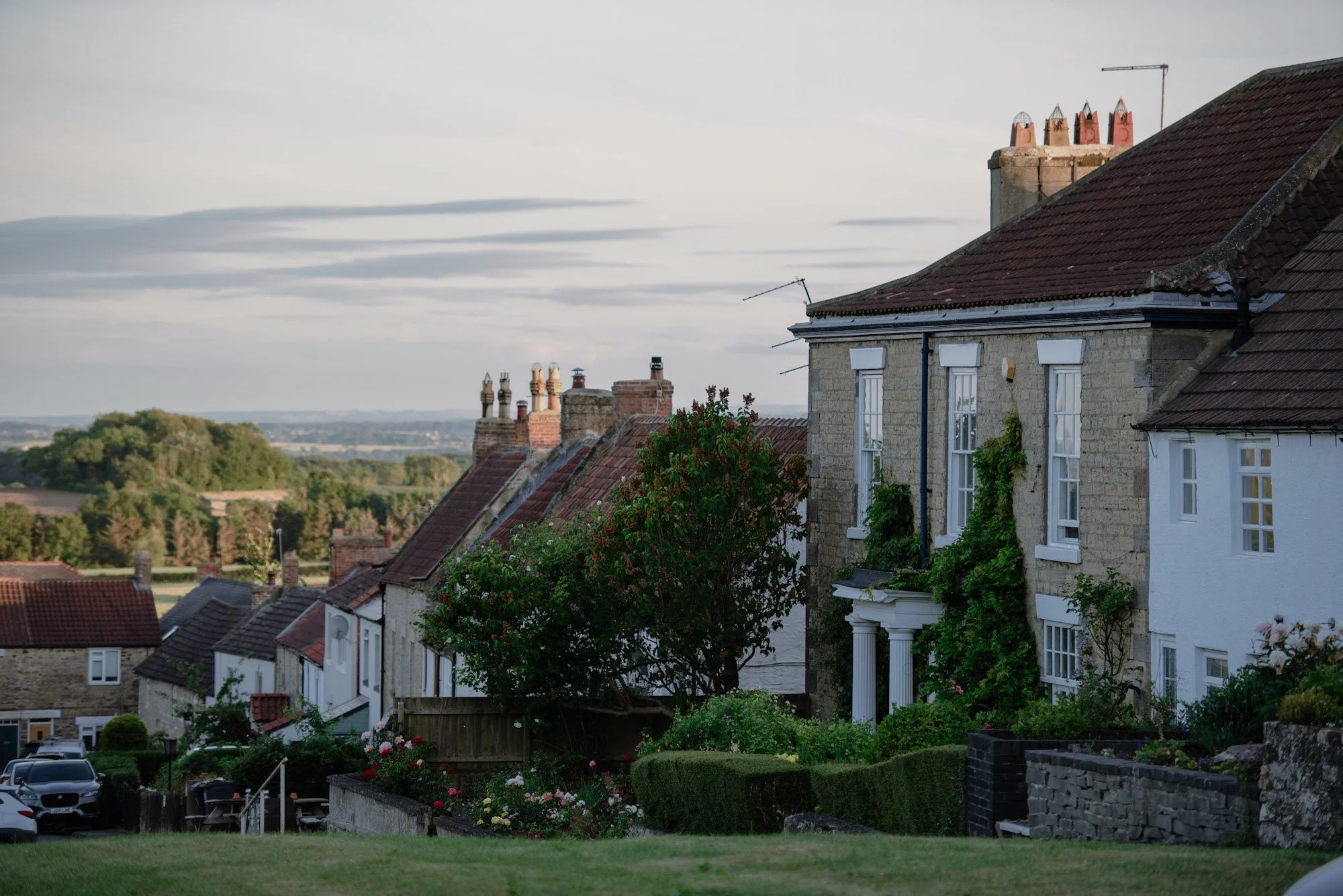 Row of houses with red roofs and chimneys on a hillside, greenery, and a cloudy sky.