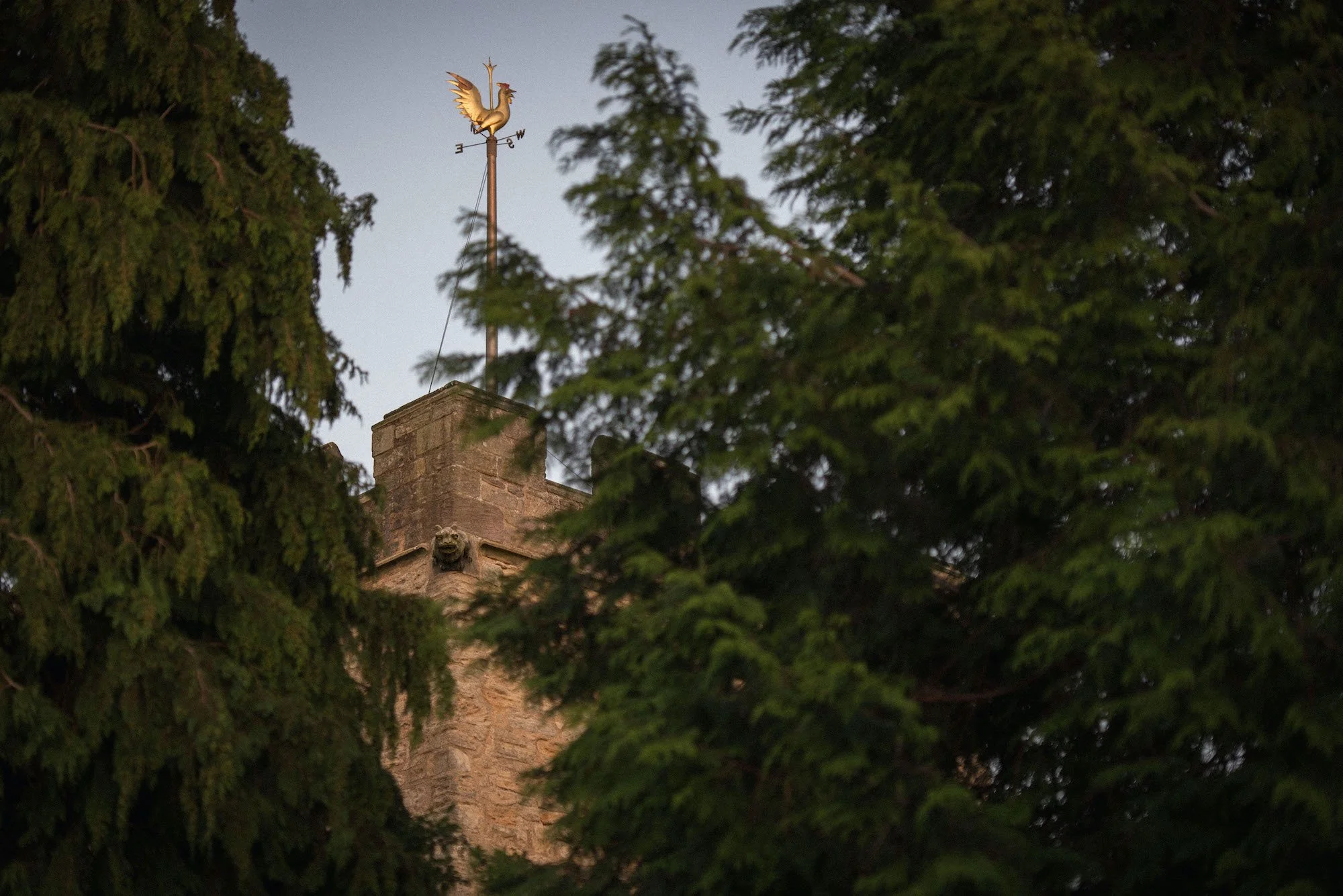 The top of a stone chimney partially hidden by green tree branches, with a decorative stone face, and a weather vane featuring a rooster on top of the chimney, seen against a gray sky.