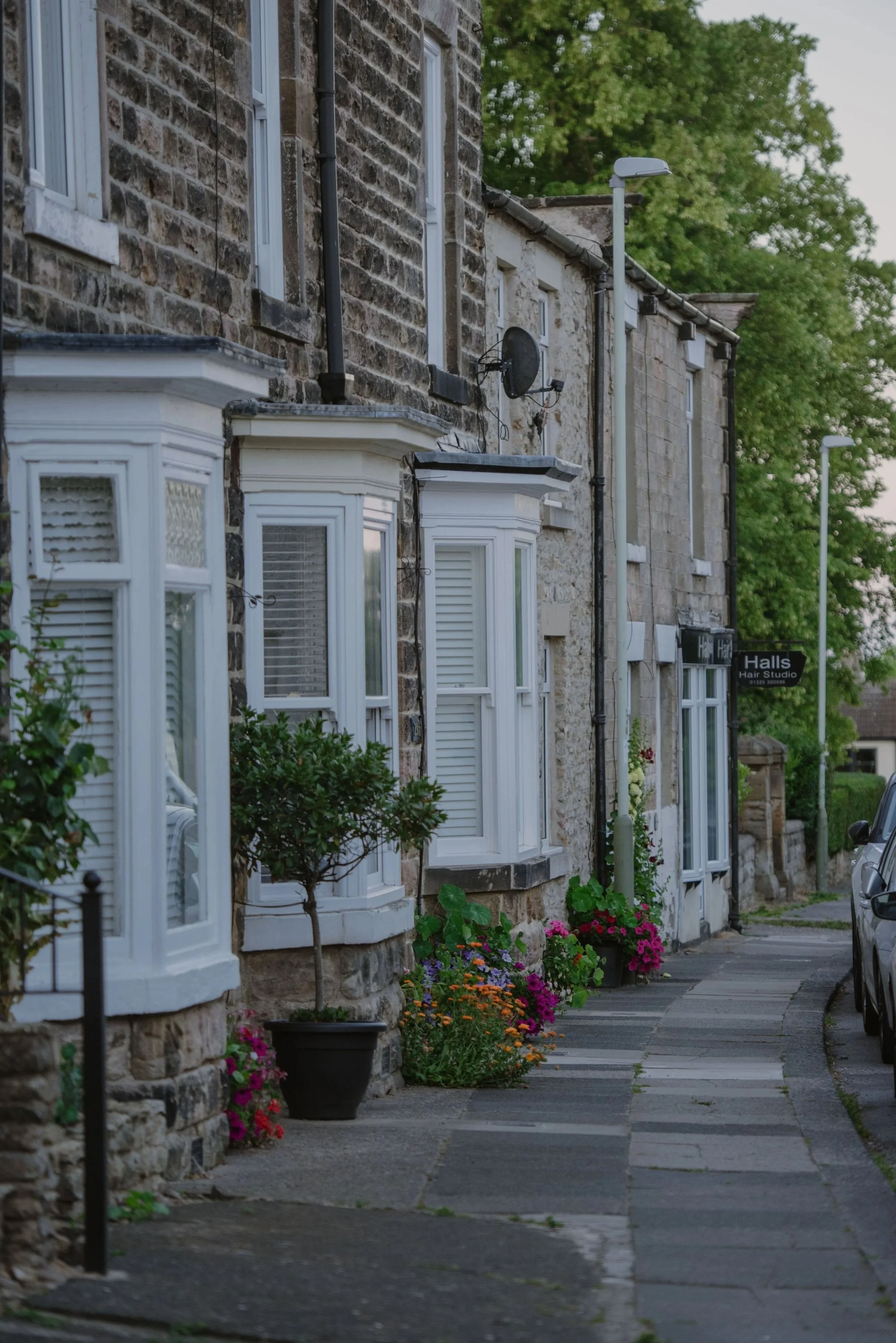 A row of old stone houses with white bay windows, potted plants, and colorful flowers along the sidewalk, with trees and a street lamp in the background.