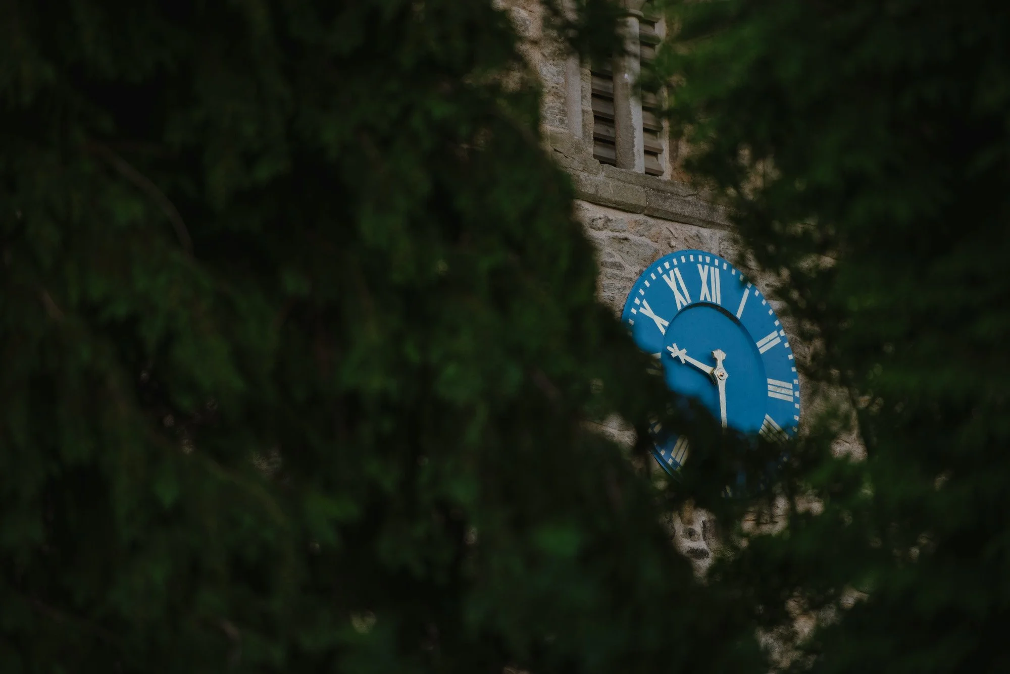 Partially visible blue clock with Roman numerals on a stone building, framed by dense green foliage.