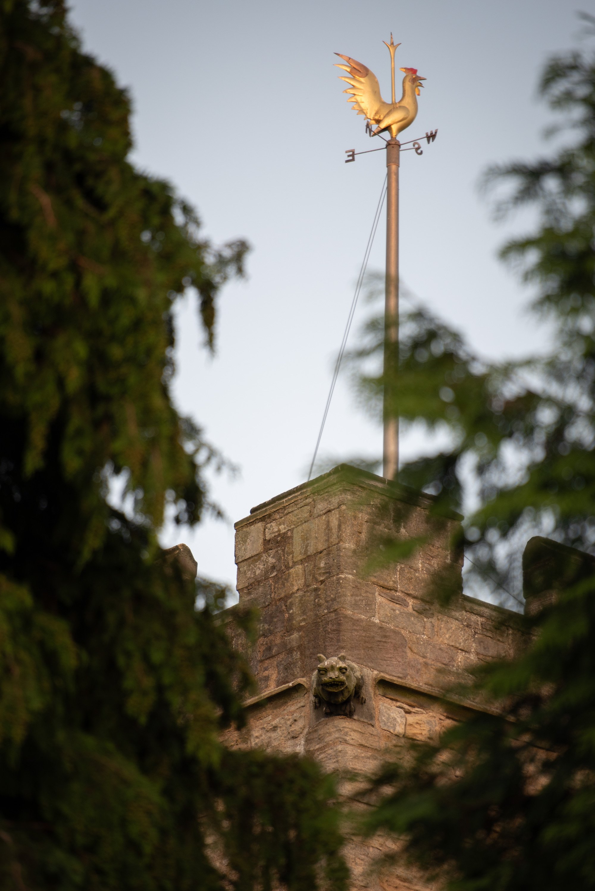 A weather vane featuring a golden rooster on top of a brick building, with a lion statue visible below, and trees surrounding the structure.