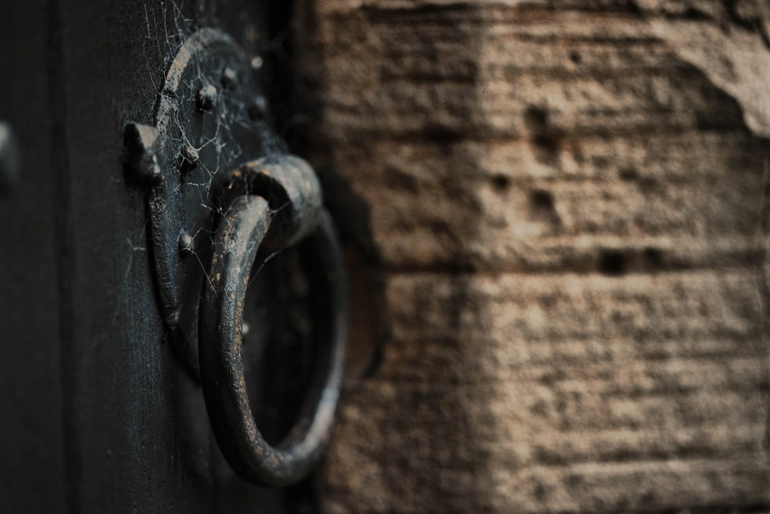 Close-up of a black lock on a dark wooden door or surface, with cobwebs surrounding it.