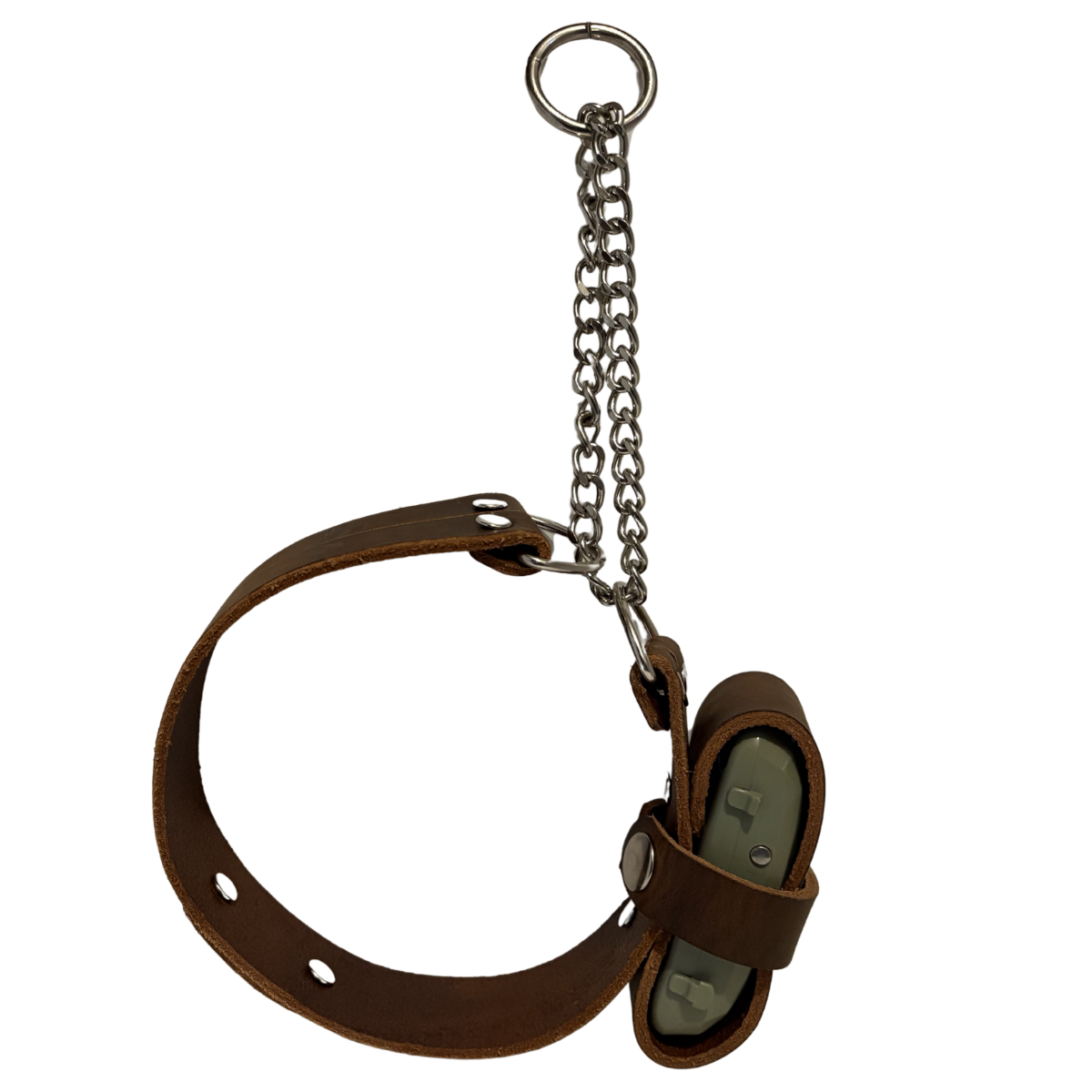 Brown leather martingale dog collar 2.png